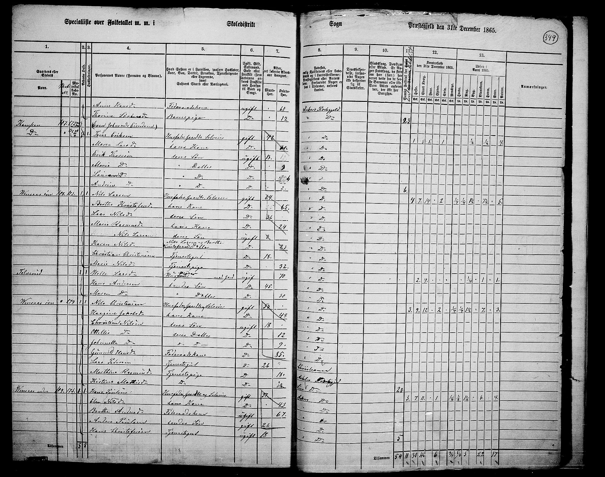 RA, 1865 census for Asker, 1865, p. 333