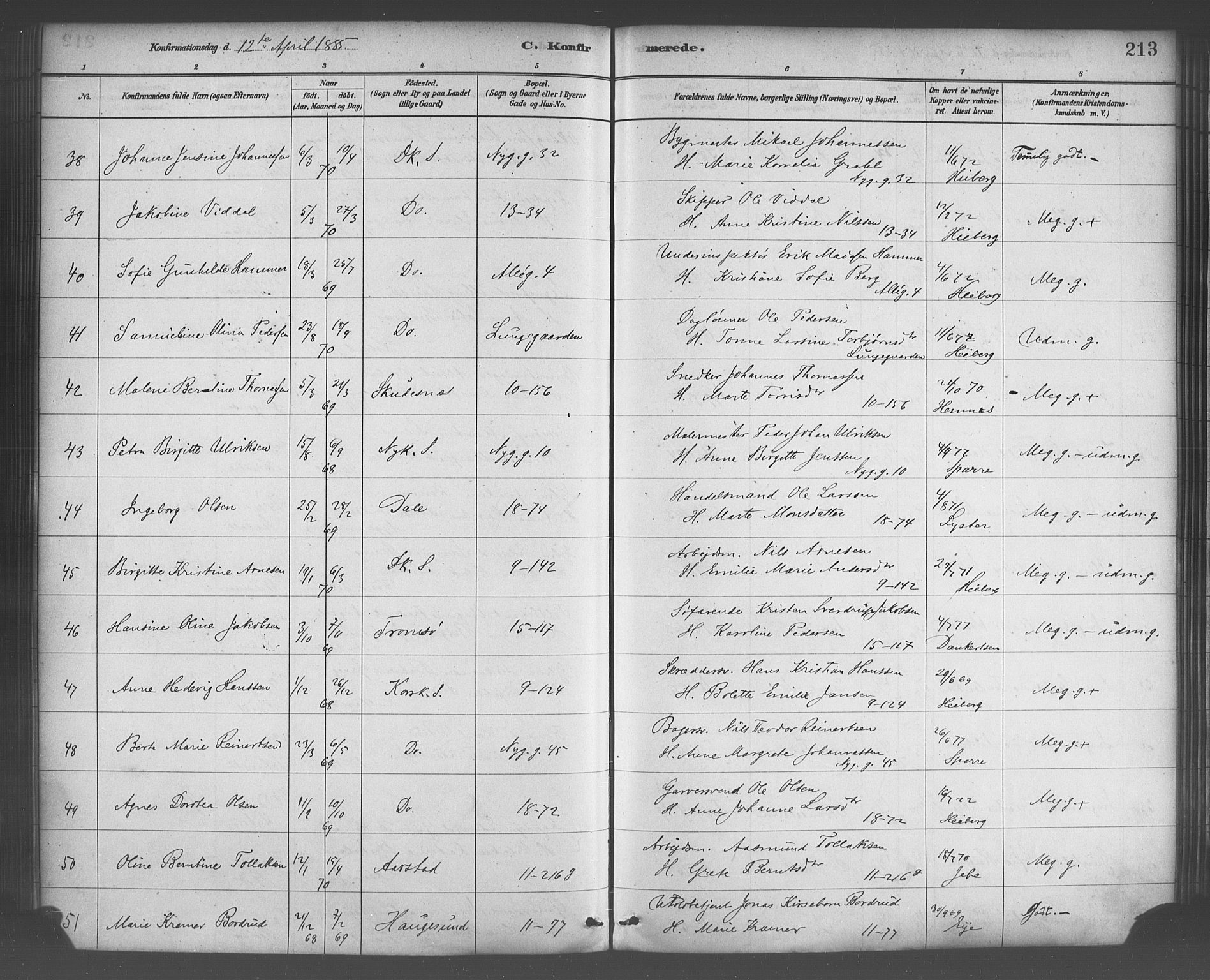 Domkirken sokneprestembete, AV/SAB-A-74801/H/Haa/L0030: Parish register (official) no. C 5, 1880-1898, p. 213