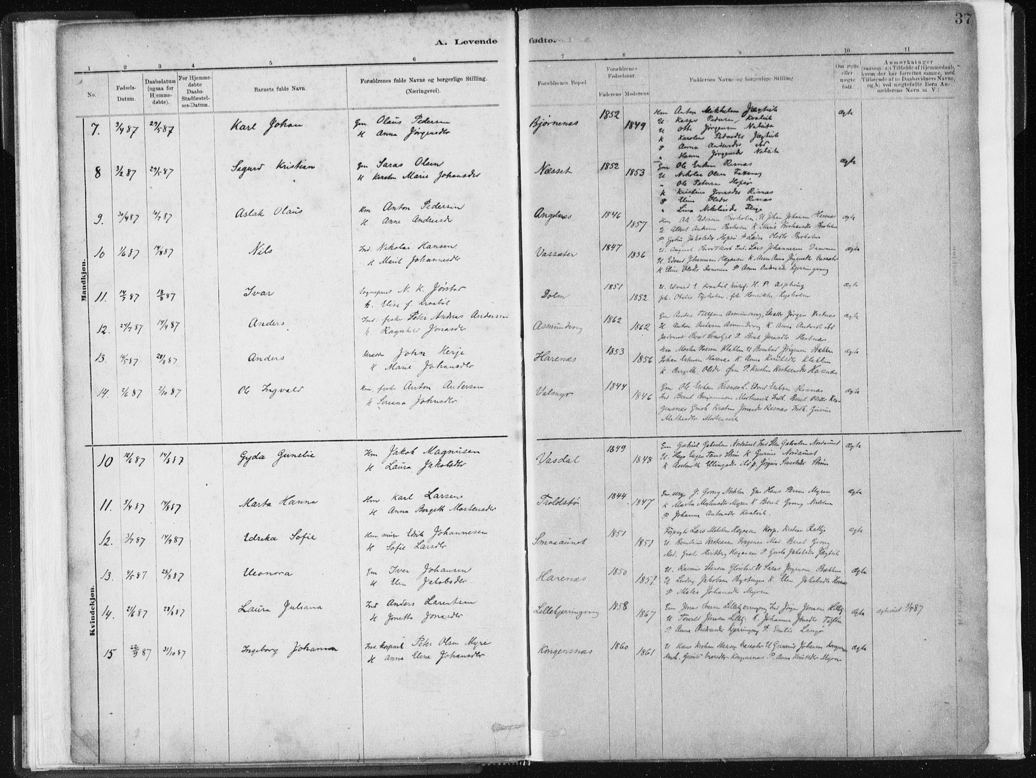 Ministerialprotokoller, klokkerbøker og fødselsregistre - Sør-Trøndelag, SAT/A-1456/634/L0533: Parish register (official) no. 634A09, 1882-1901, p. 37