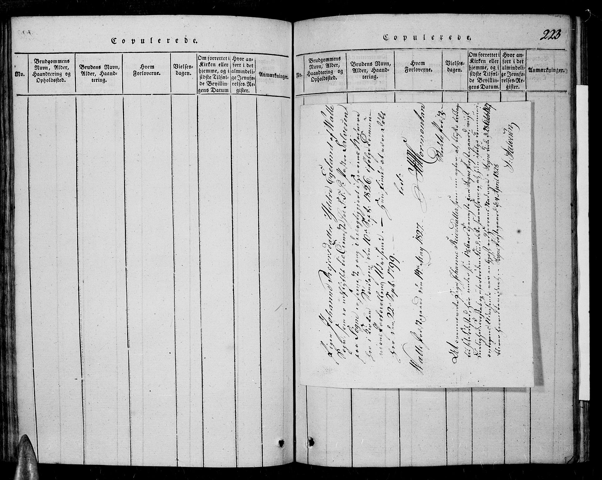 Sør-Audnedal sokneprestkontor, SAK/1111-0039/F/Fa/Fab/L0005: Parish register (official) no. A 5, 1816-1830, p. 223