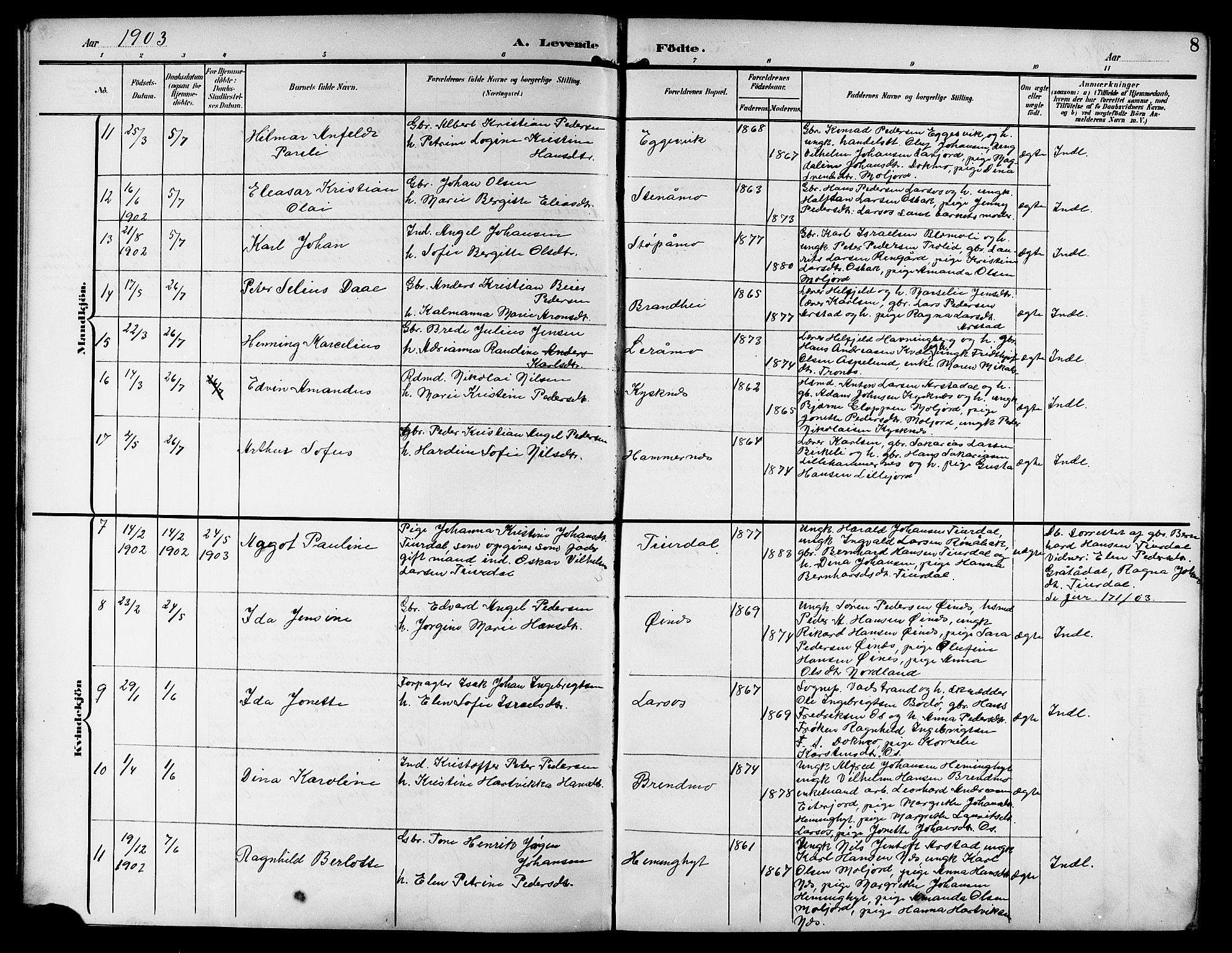 Ministerialprotokoller, klokkerbøker og fødselsregistre - Nordland, AV/SAT-A-1459/846/L0655: Parish register (copy) no. 846C05, 1902-1916, p. 8