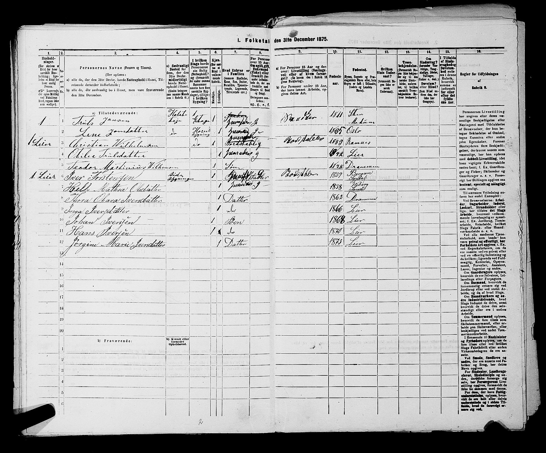SAKO, 1875 census for 0602 Drammen, 1875, p. 617
