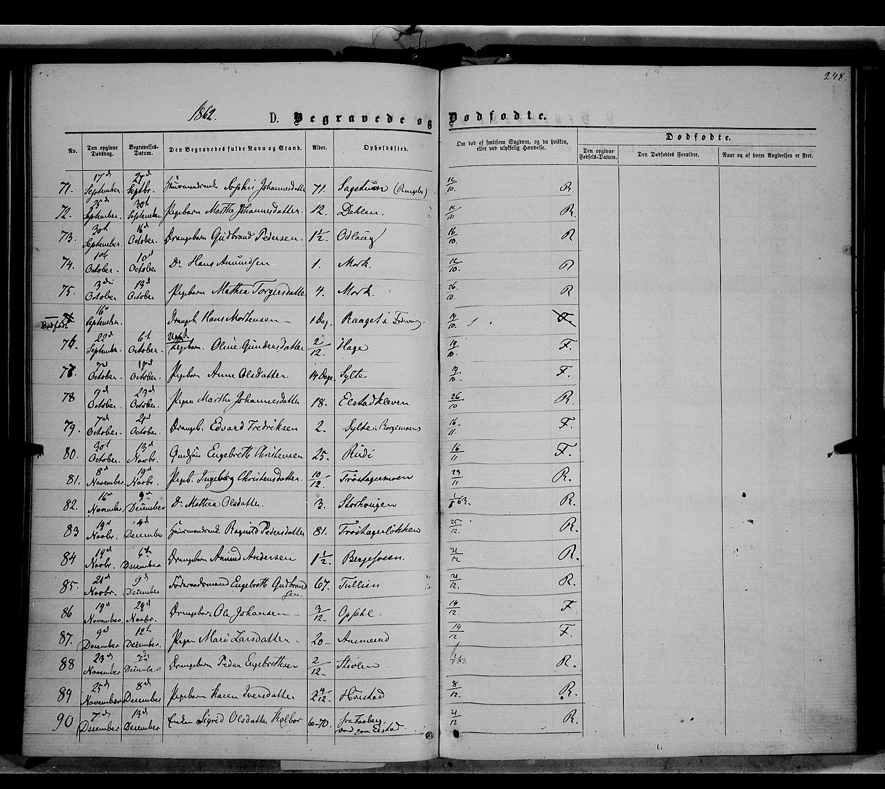 Ringebu prestekontor, AV/SAH-PREST-082/H/Ha/Haa/L0007: Parish register (official) no. 7, 1860-1877, p. 248