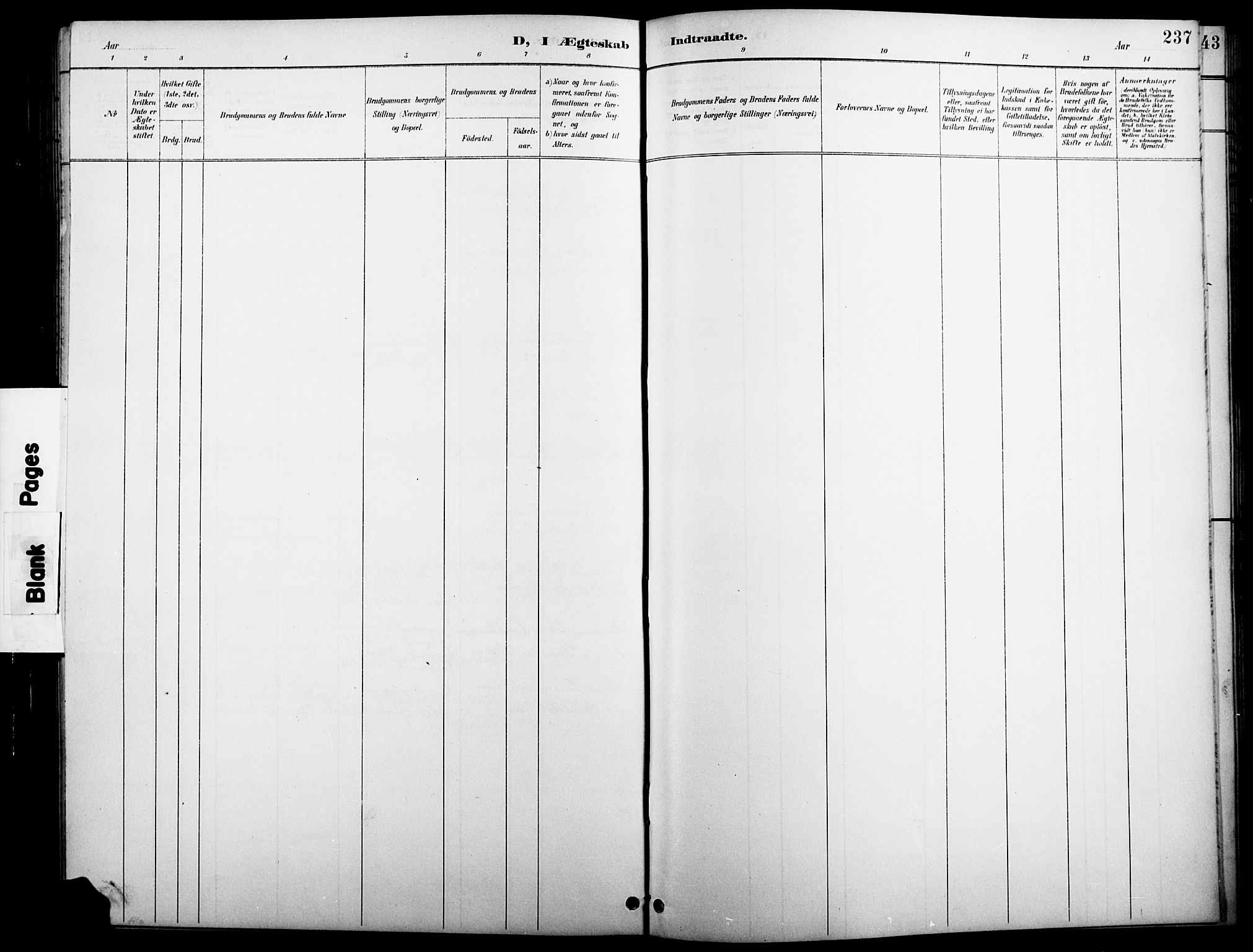 Åsnes prestekontor, AV/SAH-PREST-042/H/Ha/Hab/L0005: Parish register (copy) no. 5, 1895-1920, p. 237
