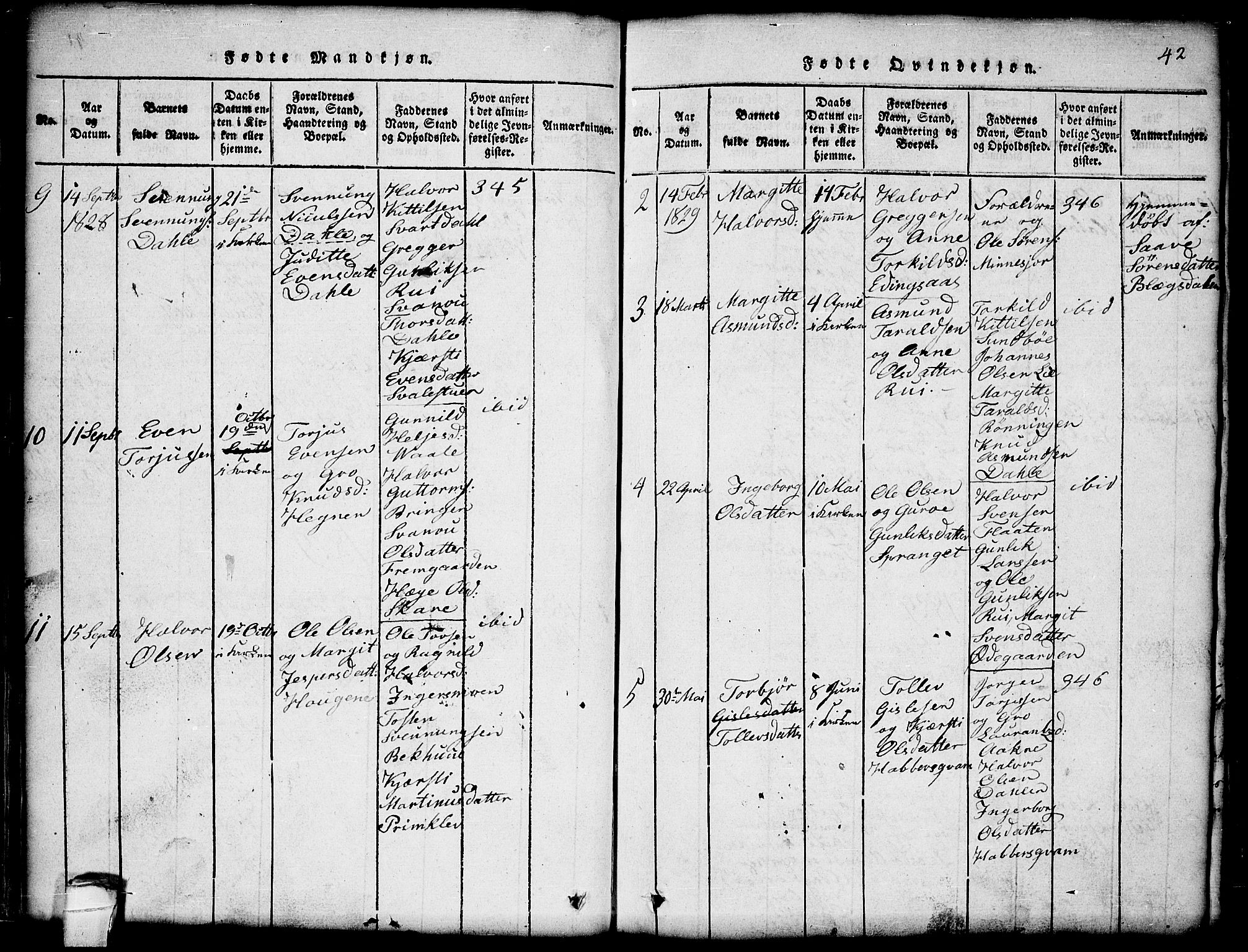 Seljord kirkebøker, SAKO/A-20/G/Gb/L0002: Parish register (copy) no. II 2, 1815-1854, p. 42