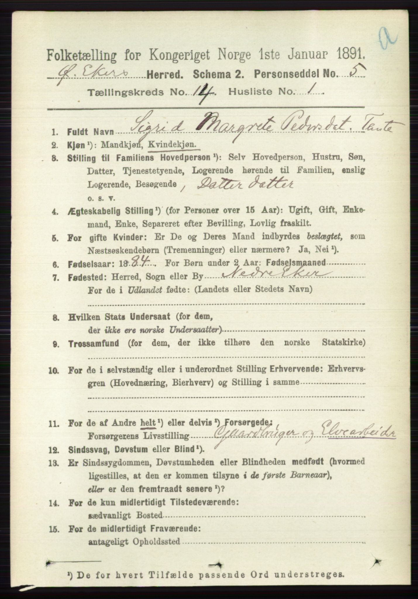 RA, 1891 census for 0624 Øvre Eiker, 1891, p. 6458