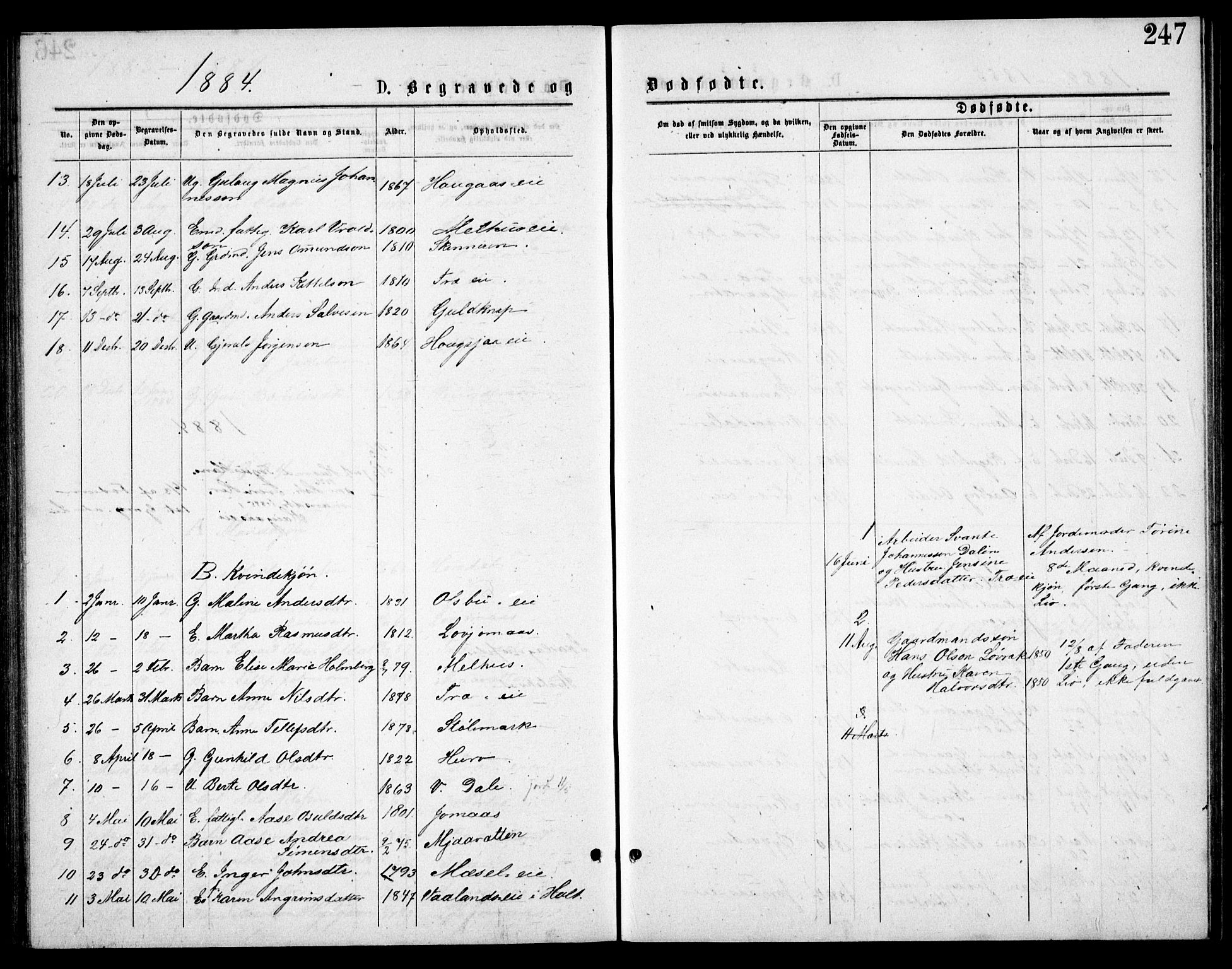 Froland sokneprestkontor, SAK/1111-0013/F/Fb/L0009: Parish register (copy) no. B 9, 1875-1893, p. 247