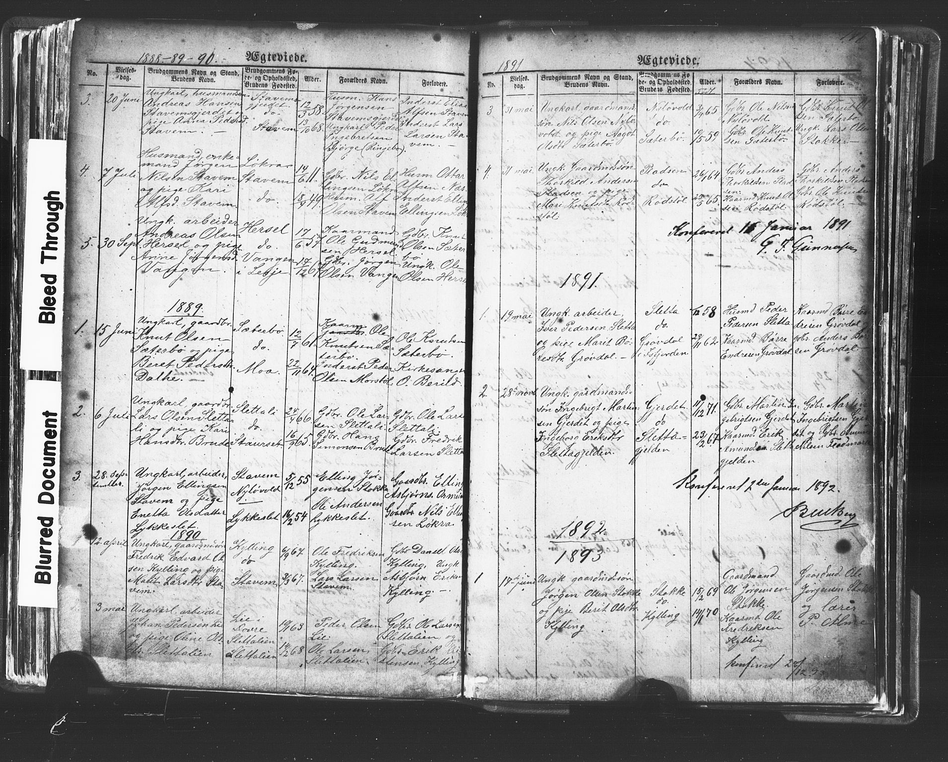 Ministerialprotokoller, klokkerbøker og fødselsregistre - Møre og Romsdal, SAT/A-1454/546/L0596: Parish register (copy) no. 546C02, 1867-1921, p. 196