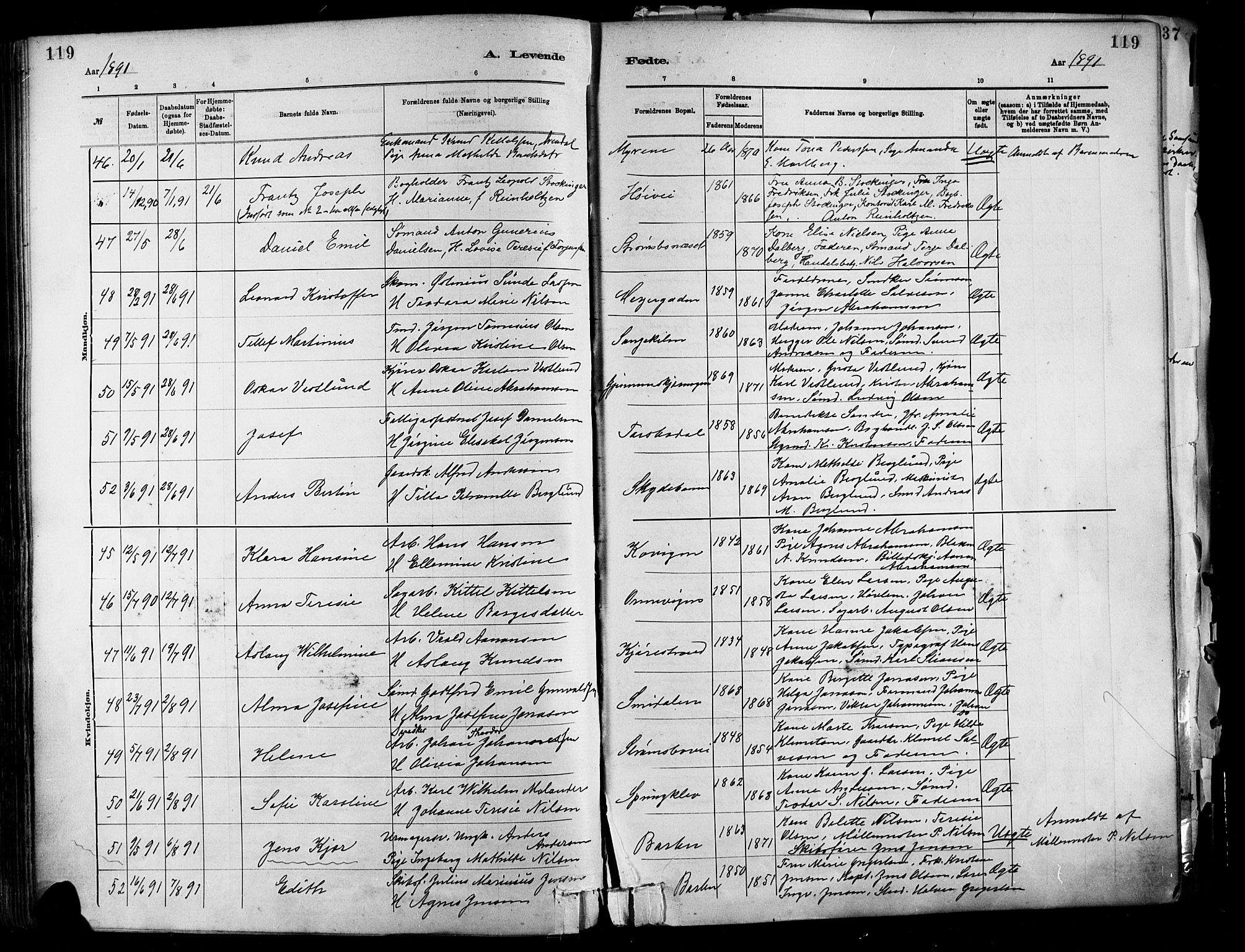 Barbu sokneprestkontor, SAK/1111-0003/F/Fa/L0002: Parish register (official) no. A 2, 1883-1898, p. 119