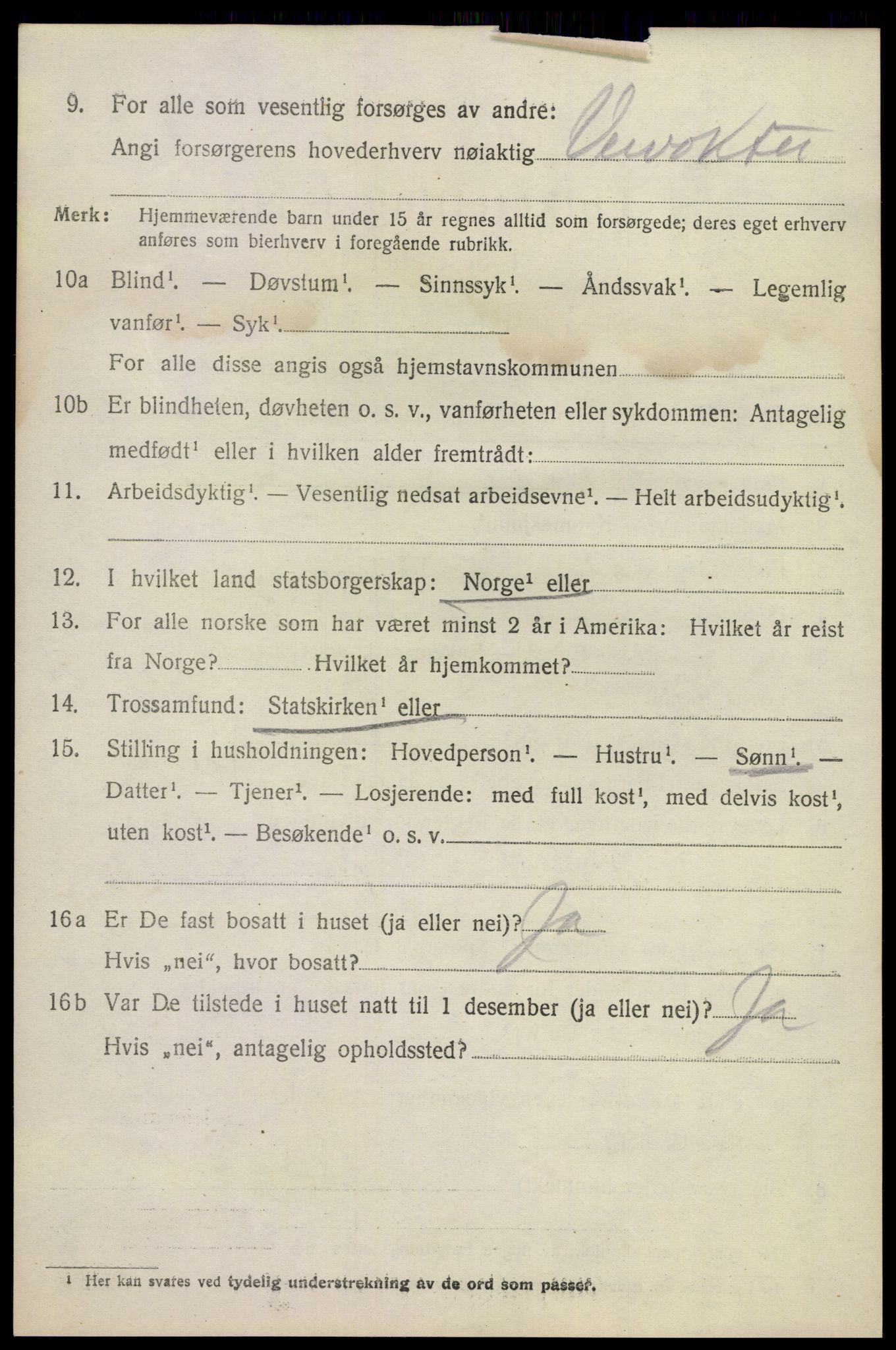 SAKO, 1920 census for Sandeherred, 1920, p. 12531