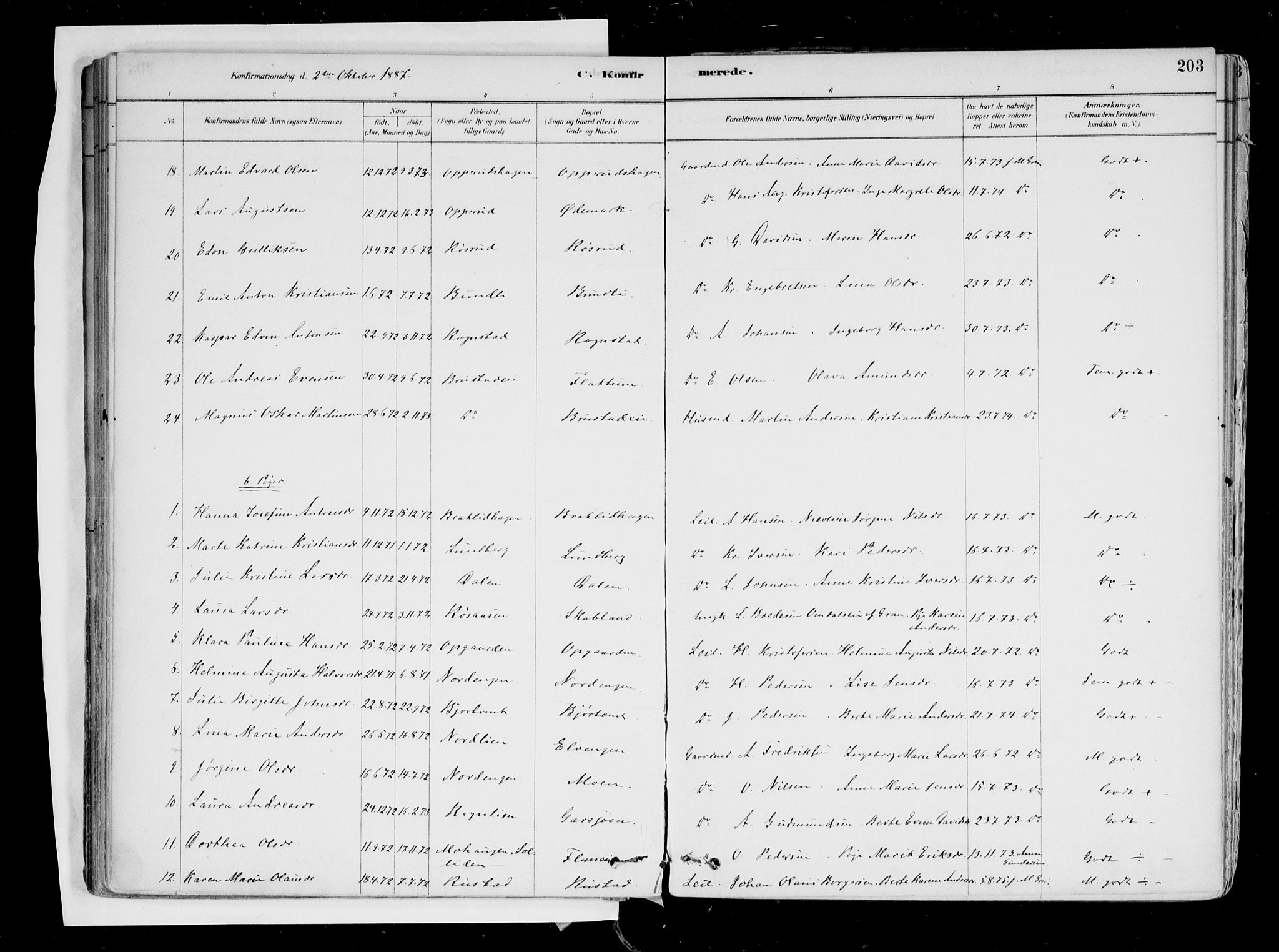 Hurdal prestekontor Kirkebøker, AV/SAO-A-10889/F/Fa/L0007: Parish register (official) no. I 7, 1878-1906, p. 203