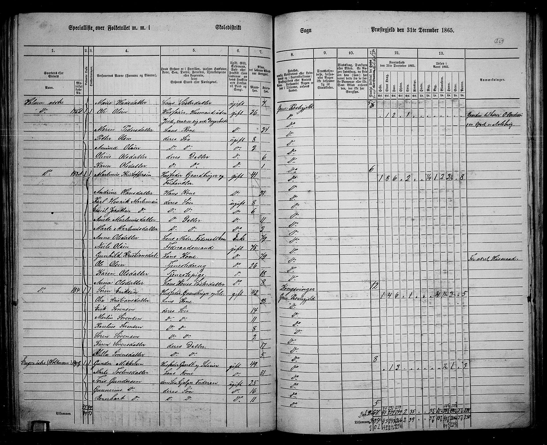 RA, 1865 census for Grue, 1865, p. 238