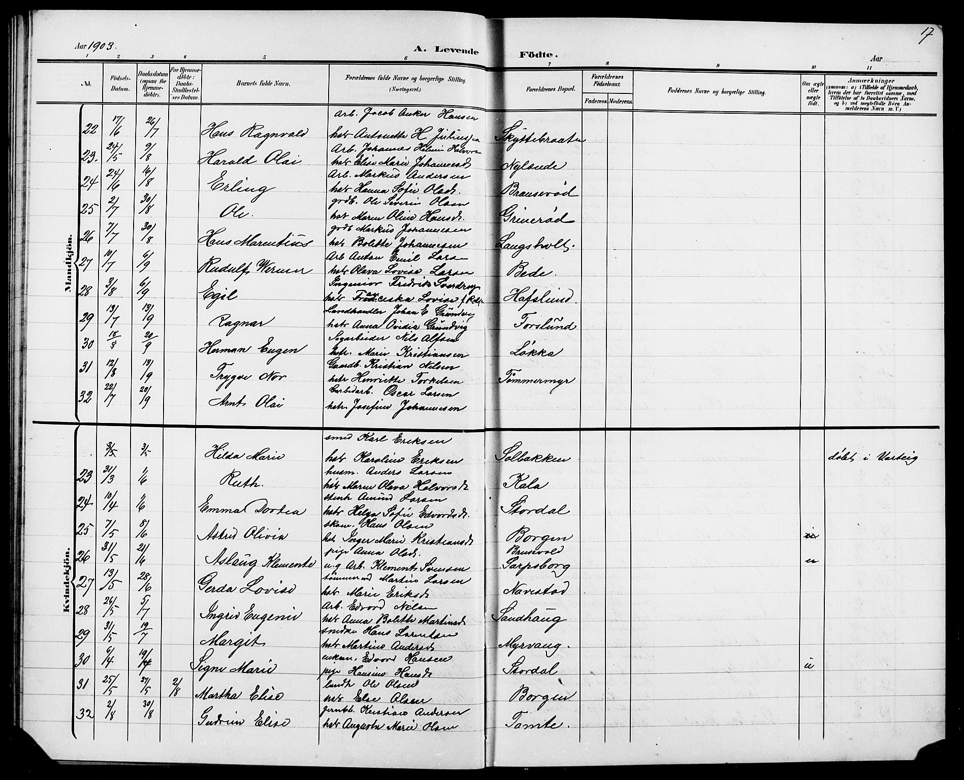 Skjeberg prestekontor Kirkebøker, AV/SAO-A-10923/G/Ga/L0002: Parish register (copy) no. I 2, 1901-1924, p. 17