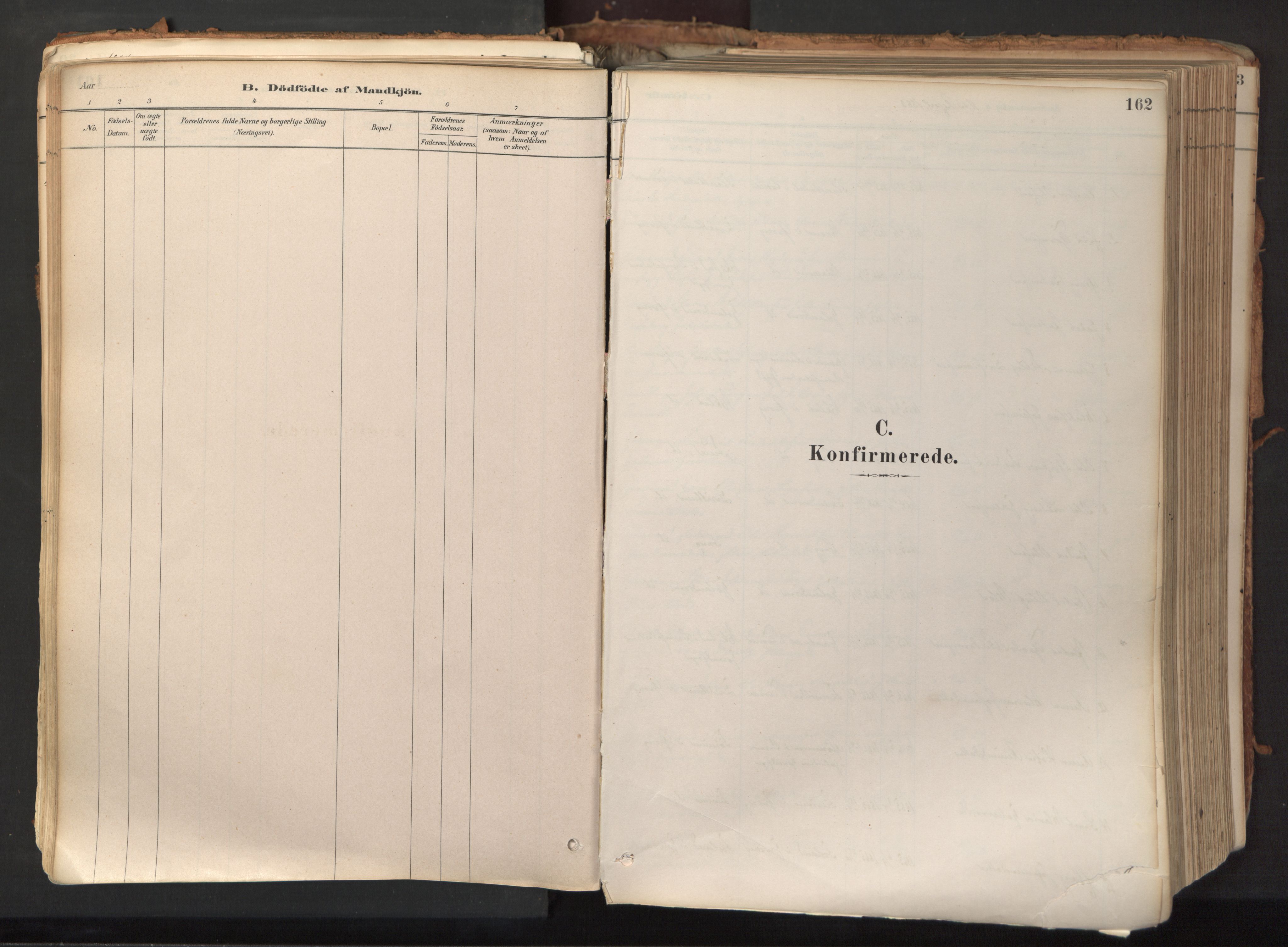 Ministerialprotokoller, klokkerbøker og fødselsregistre - Nord-Trøndelag, SAT/A-1458/758/L0519: Parish register (official) no. 758A04, 1880-1926, p. 162