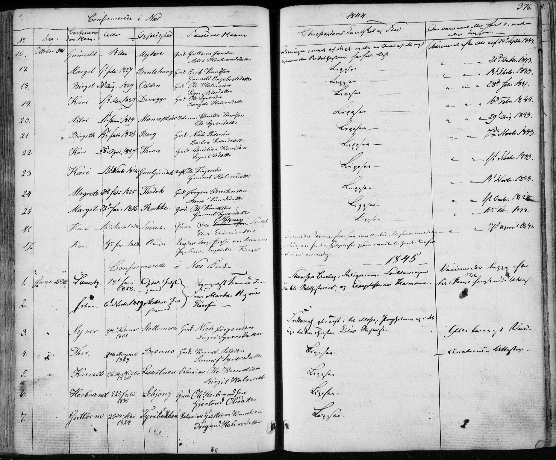 Nes kirkebøker, AV/SAKO-A-236/F/Fa/L0009: Parish register (official) no. 9, 1834-1863, p. 376