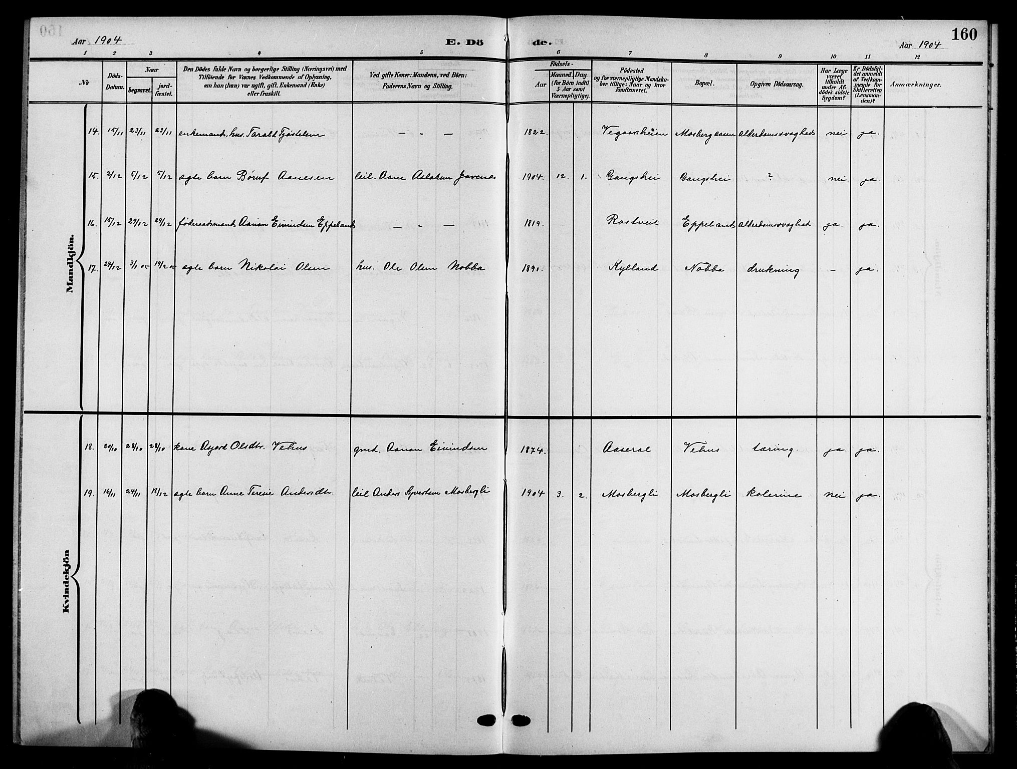 Åmli sokneprestkontor, SAK/1111-0050/F/Fb/Fbc/L0005: Parish register (copy) no. B 5, 1903-1916, p. 160