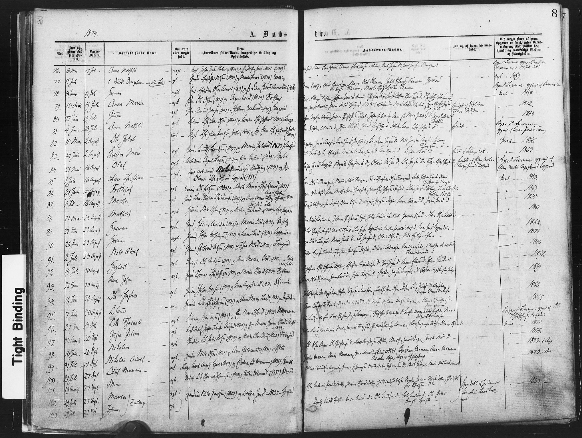 Nannestad prestekontor Kirkebøker, SAO/A-10414a/F/Fa/L0013: Parish register (official) no. I 13, 1873-1880, p. 8