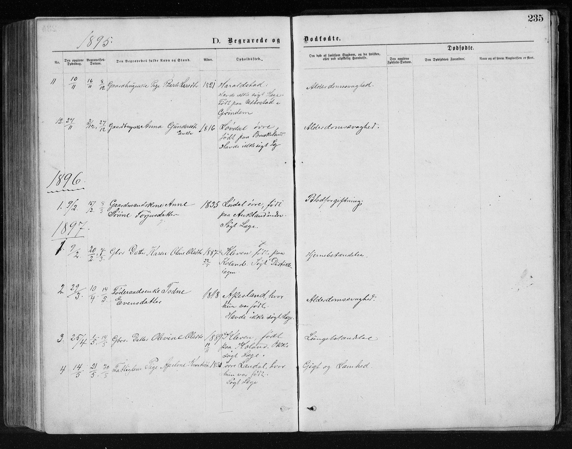 Holum sokneprestkontor, AV/SAK-1111-0022/F/Fb/Fbb/L0003: Parish register (copy) no. B 3, 1875-1898, p. 235