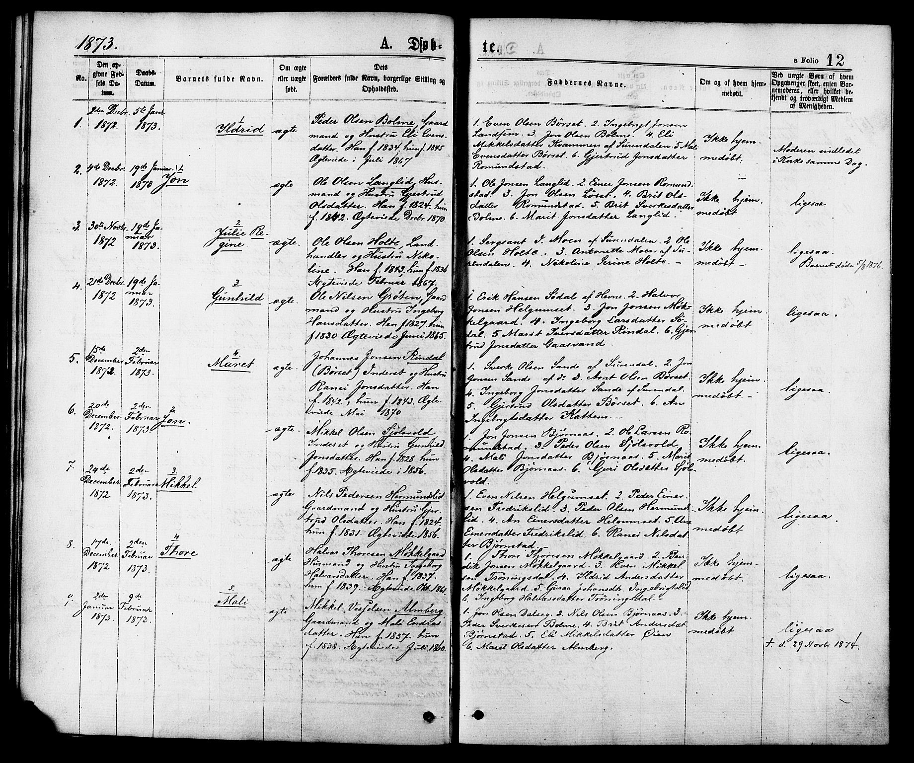 Ministerialprotokoller, klokkerbøker og fødselsregistre - Møre og Romsdal, AV/SAT-A-1454/598/L1068: Parish register (official) no. 598A02, 1872-1881, p. 12