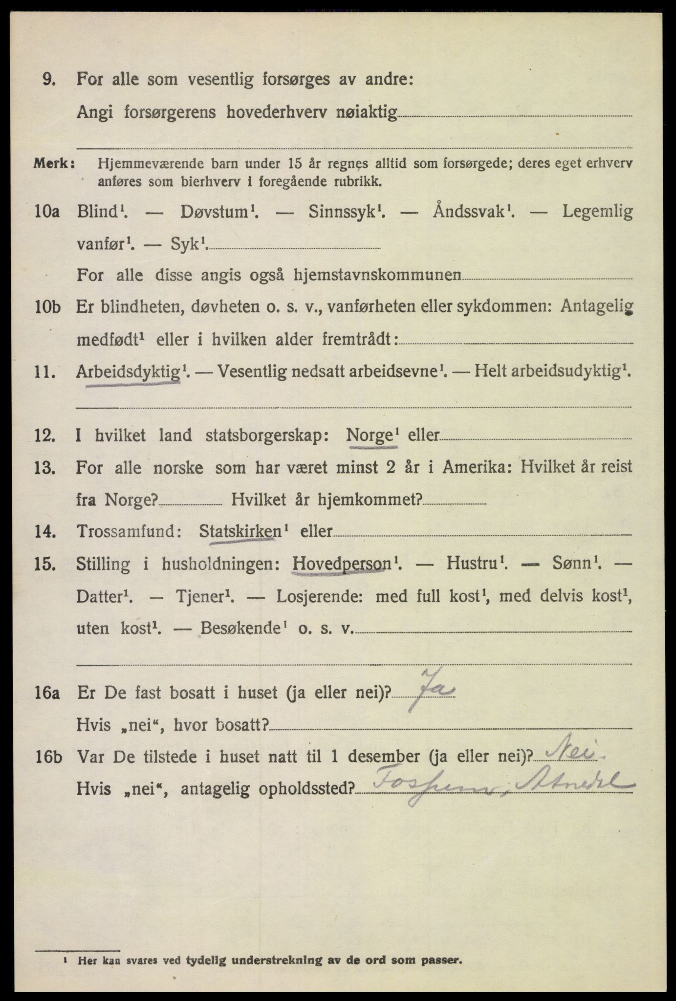 SAH, 1920 census for Stor-Elvdal, 1920, p. 6133