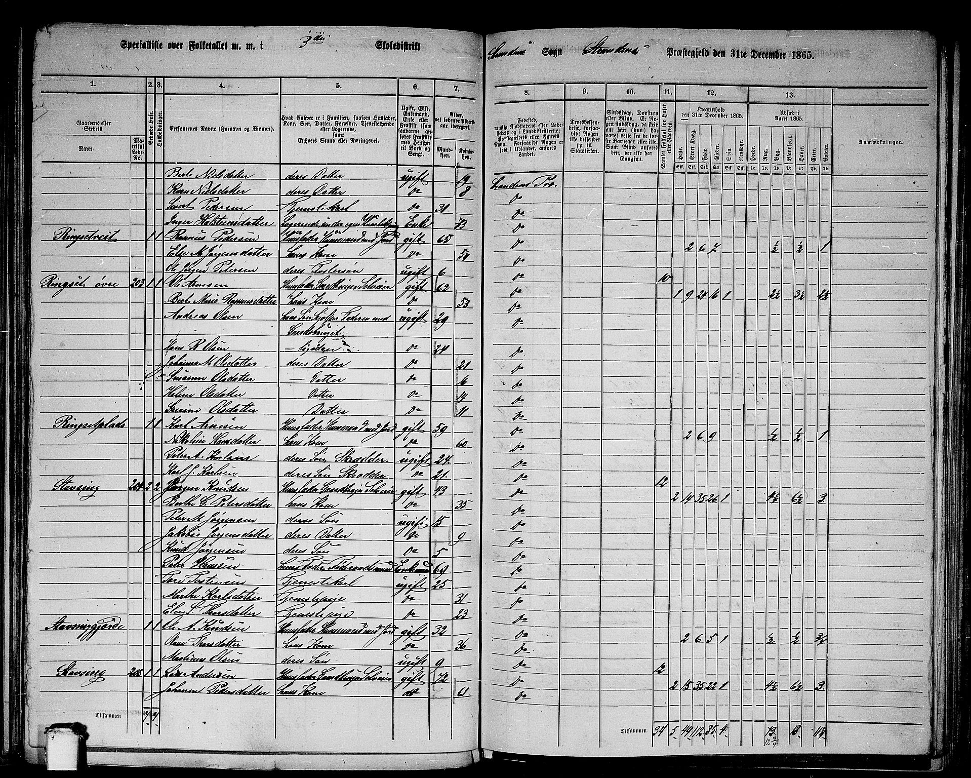 RA, 1865 census for Stranda, 1865, p. 8