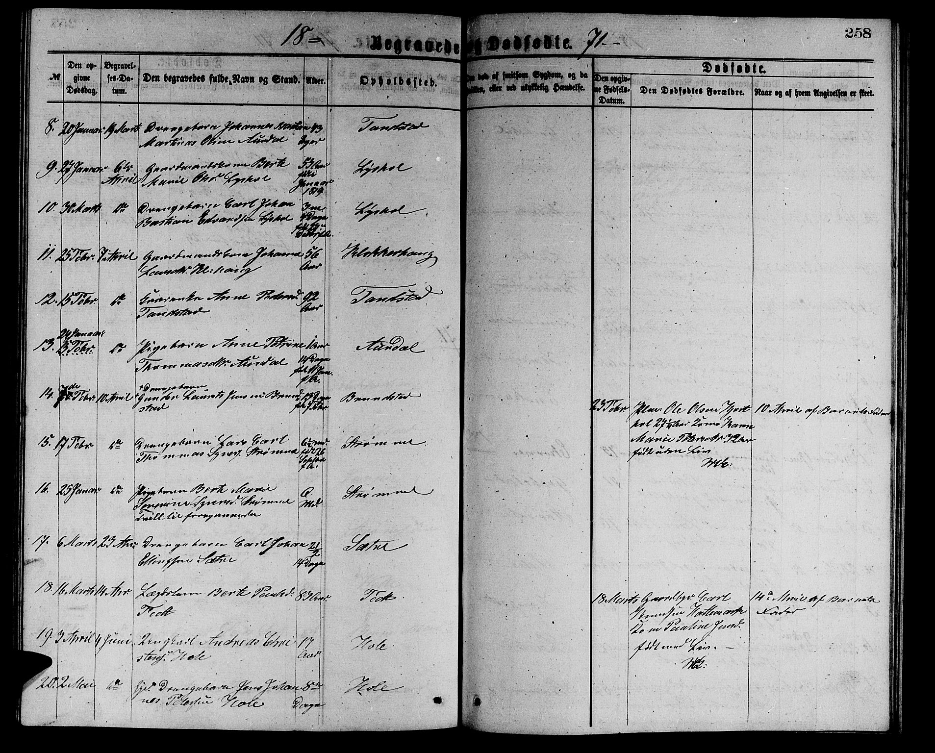 Ministerialprotokoller, klokkerbøker og fødselsregistre - Møre og Romsdal, AV/SAT-A-1454/523/L0338: Parish register (copy) no. 523C01, 1865-1877, p. 258