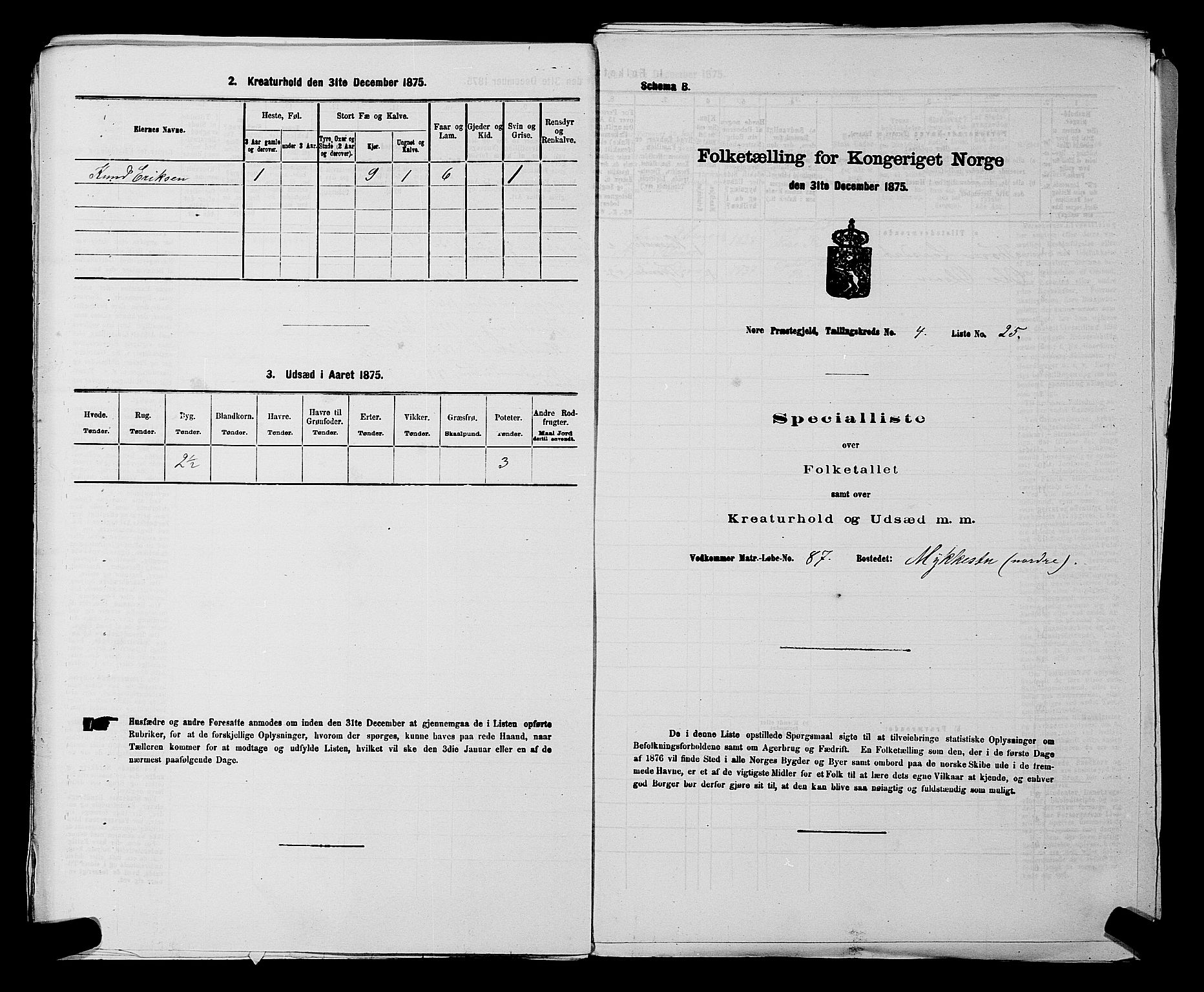 SAKO, 1875 census for 0633P Nore, 1875, p. 570