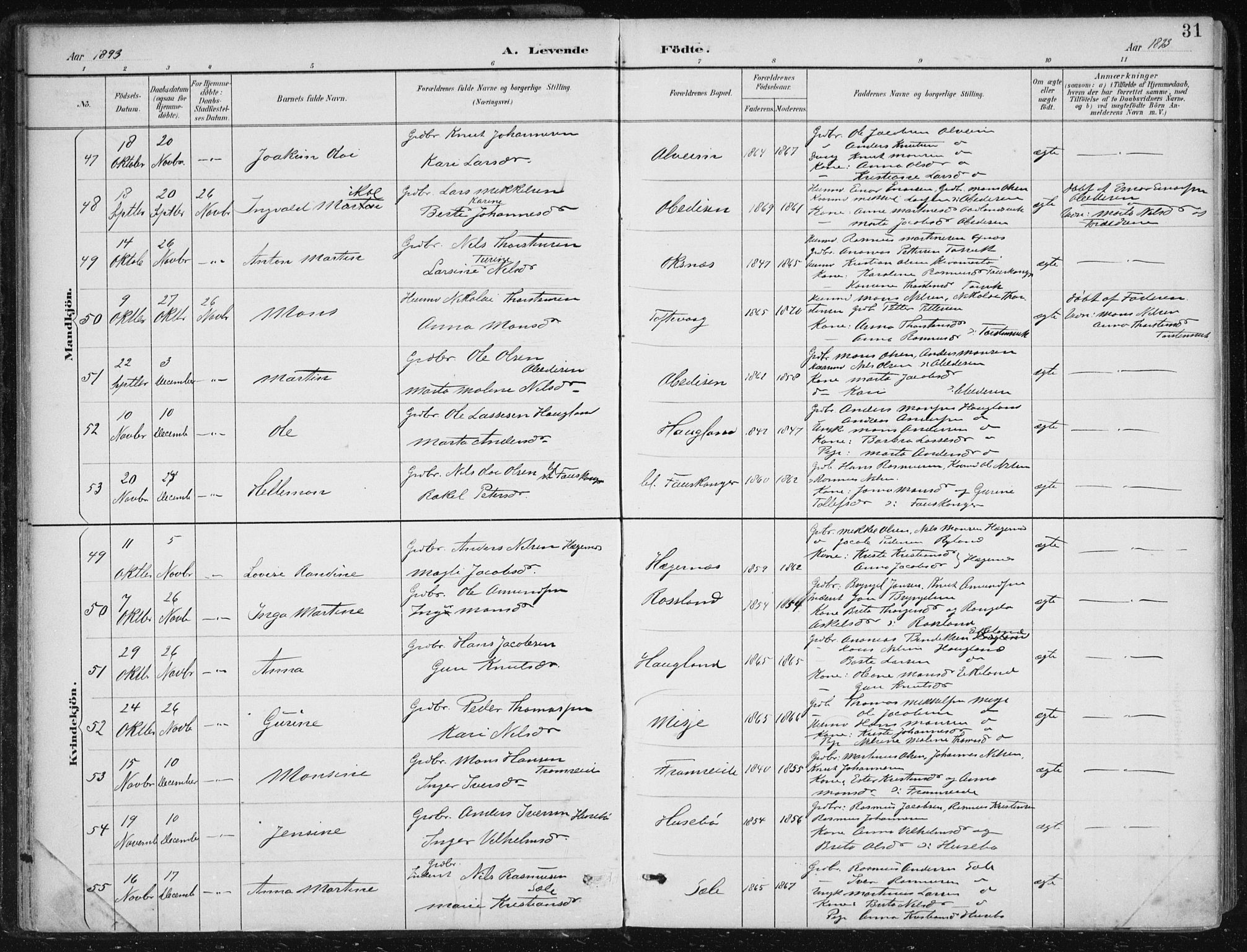 Herdla Sokneprestembete, AV/SAB-A-75701/H/Haa: Parish register (official) no. A 4, 1891-1905, p. 31