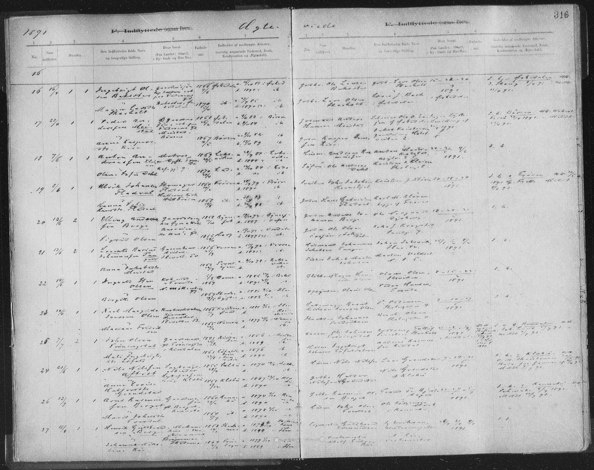 Ministerialprotokoller, klokkerbøker og fødselsregistre - Sør-Trøndelag, AV/SAT-A-1456/603/L0163: Parish register (official) no. 603A02, 1879-1895, p. 316