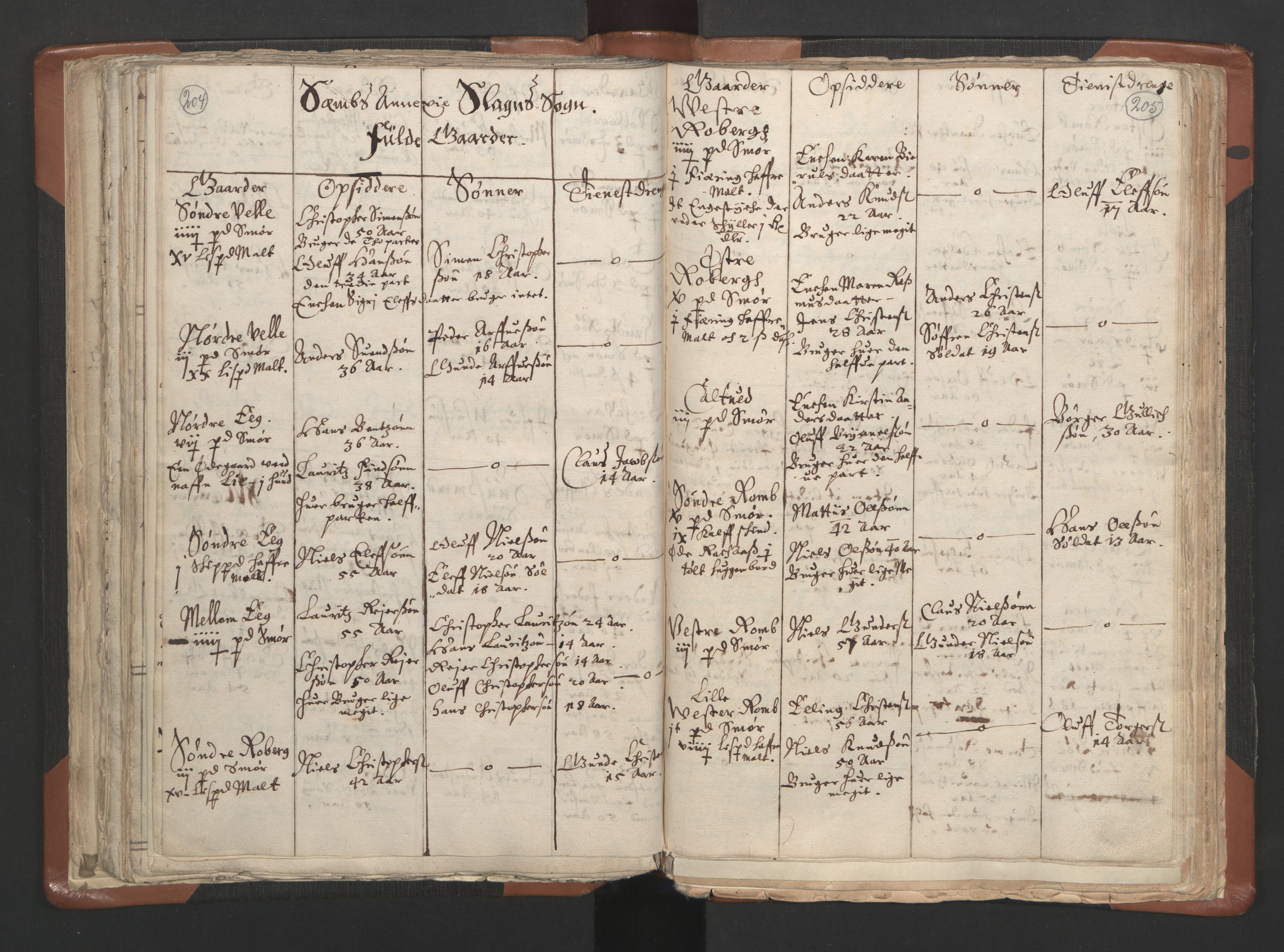 RA, Vicar's Census 1664-1666, no. 10: Tønsberg deanery, 1664-1666, p. 204-205
