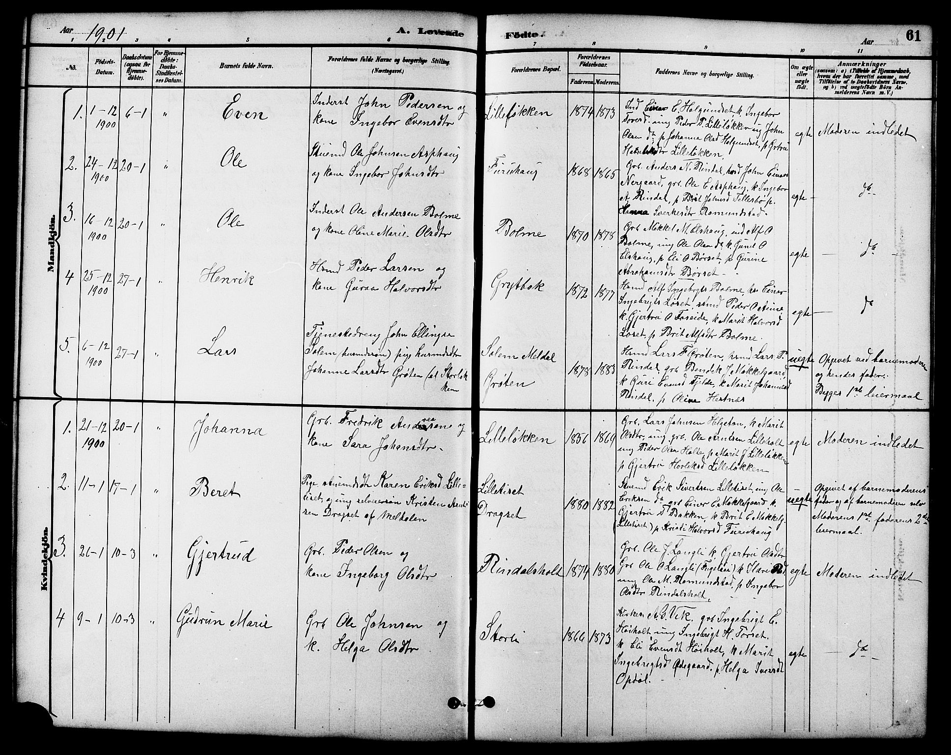 Ministerialprotokoller, klokkerbøker og fødselsregistre - Møre og Romsdal, SAT/A-1454/598/L1078: Parish register (copy) no. 598C03, 1892-1909, p. 61