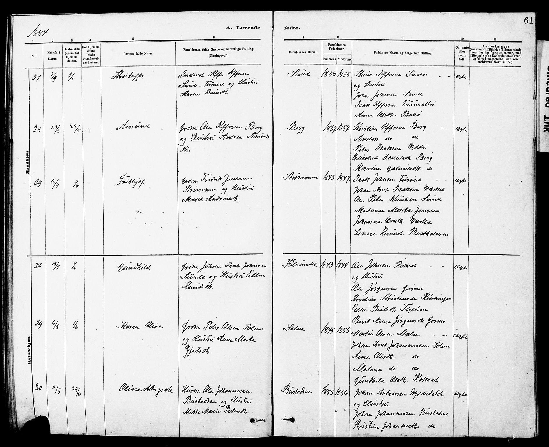 Ministerialprotokoller, klokkerbøker og fødselsregistre - Sør-Trøndelag, AV/SAT-A-1456/647/L0636: Parish register (copy) no. 647C01, 1881-1884, p. 61