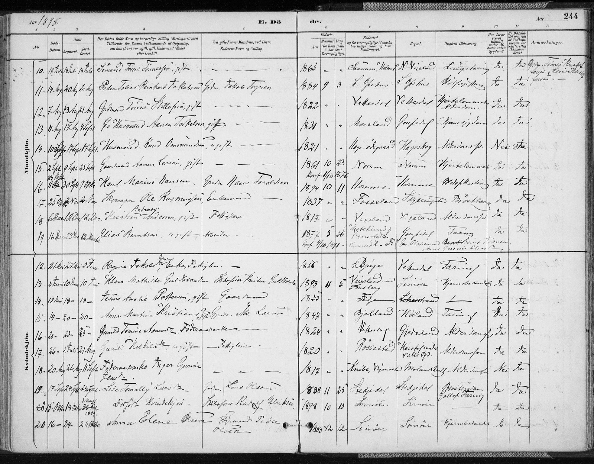 Sør-Audnedal sokneprestkontor, AV/SAK-1111-0039/F/Fa/Fab/L0010: Parish register (official) no. A 10, 1892-1913, p. 244