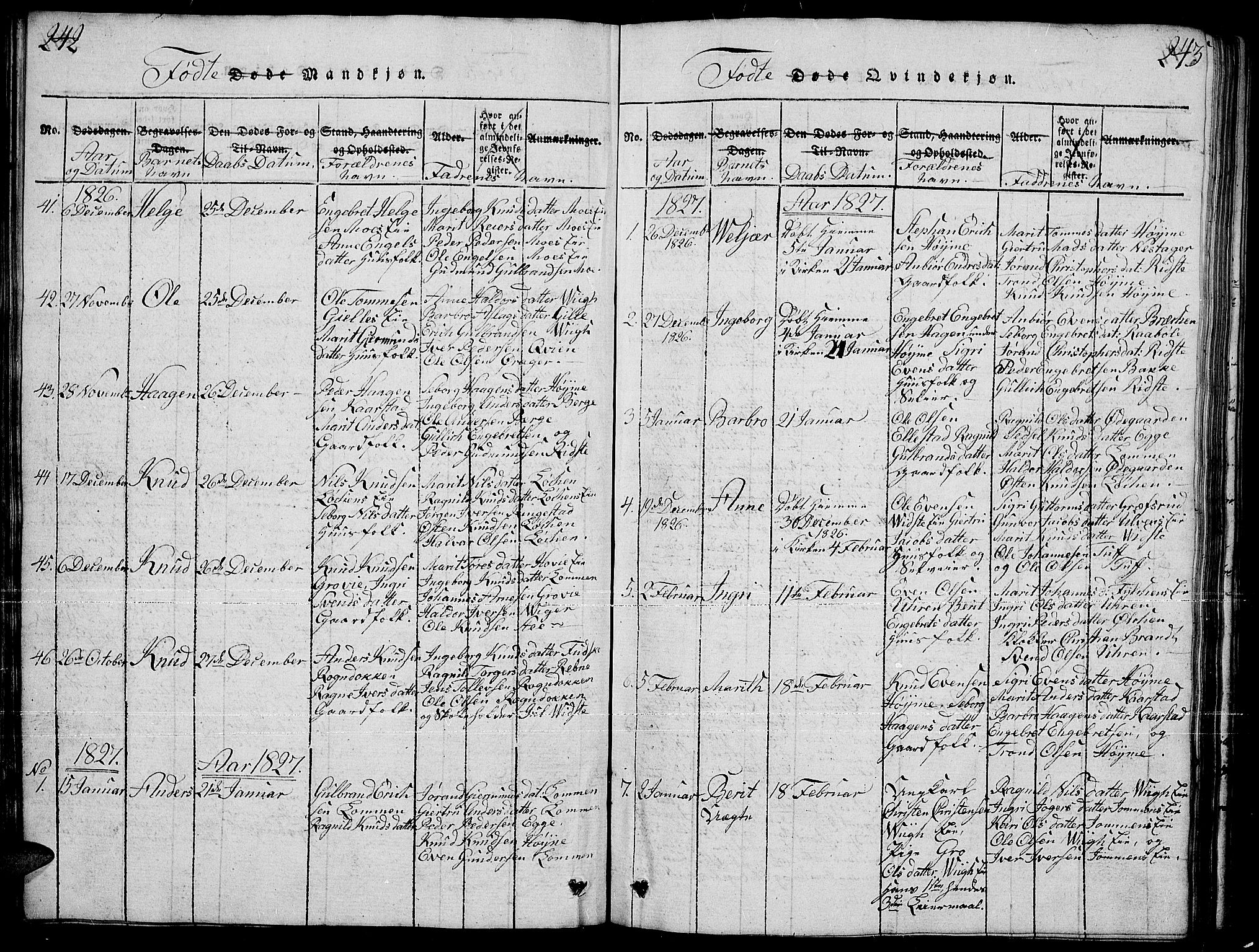 Slidre prestekontor, SAH/PREST-134/H/Ha/Hab/L0001: Parish register (copy) no. 1, 1814-1838, p. 242-243