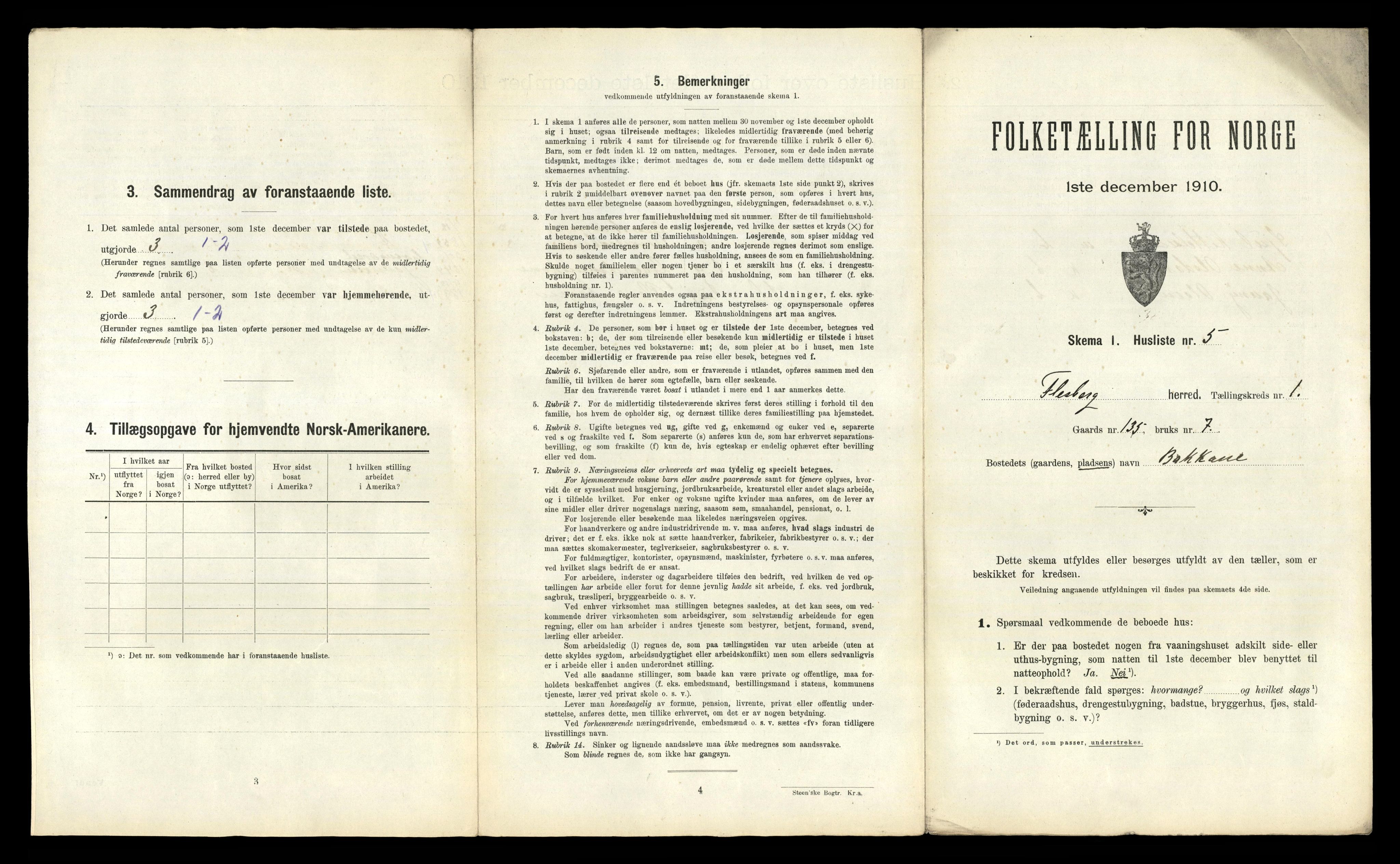RA, 1910 census for Flesberg, 1910, p. 53