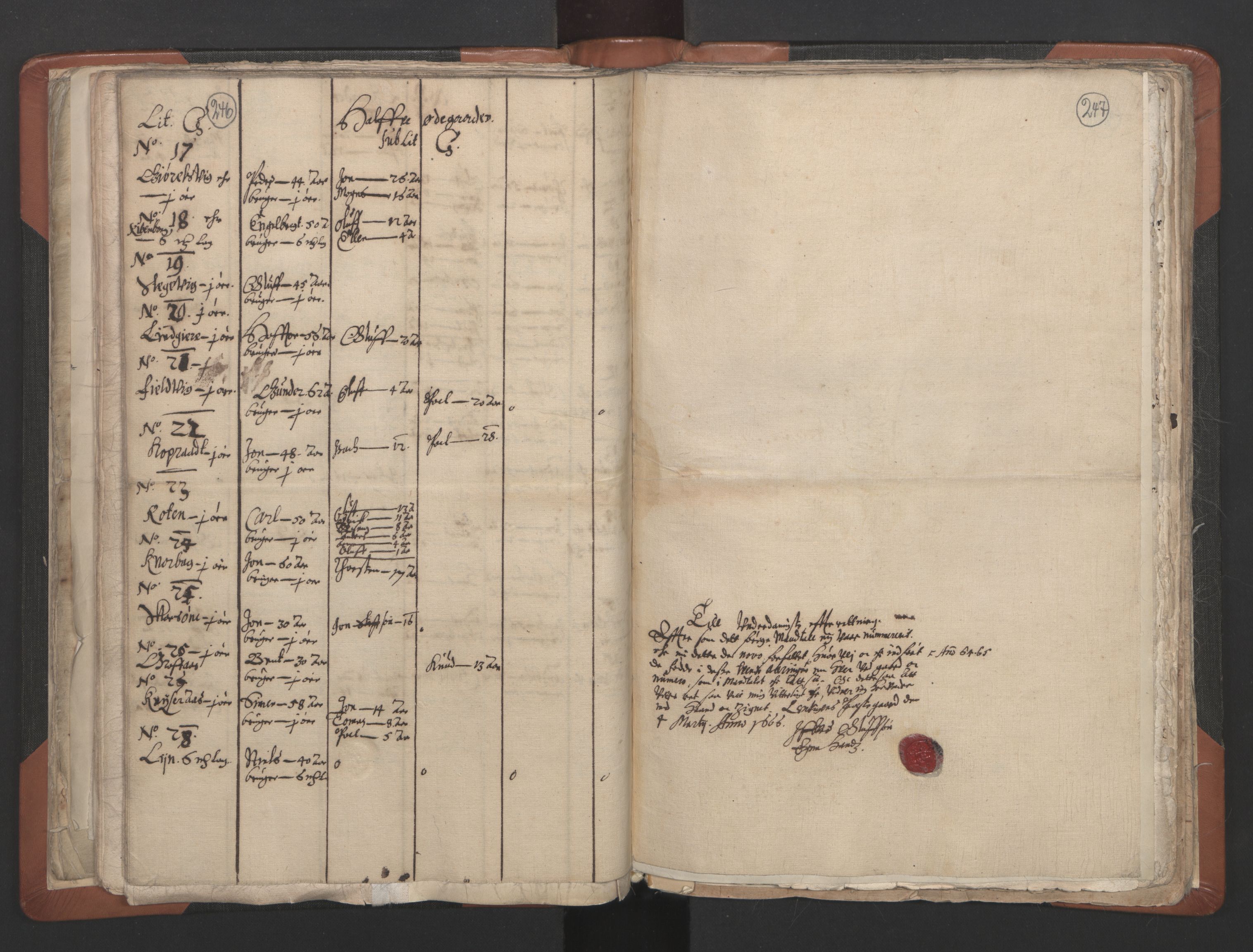 RA, Vicar's Census 1664-1666, no. 32: Innherad deanery, 1664-1666, p. 246-247