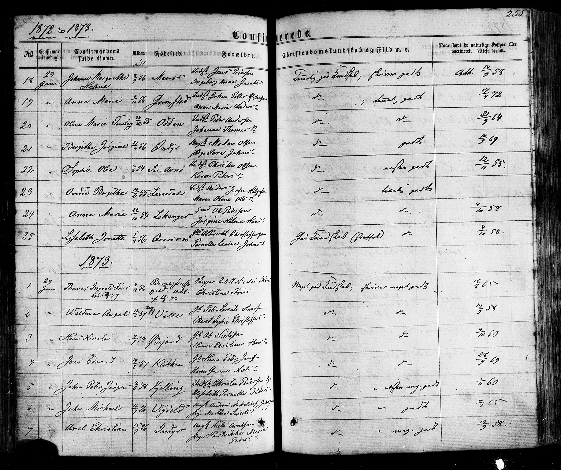 Ministerialprotokoller, klokkerbøker og fødselsregistre - Nordland, SAT/A-1459/805/L0098: Parish register (official) no. 805A05, 1862-1879, p. 255