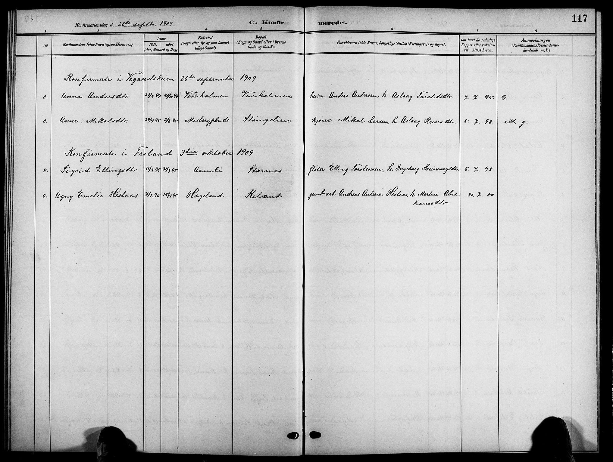 Åmli sokneprestkontor, SAK/1111-0050/F/Fb/Fbc/L0005: Parish register (copy) no. B 5, 1903-1916, p. 117