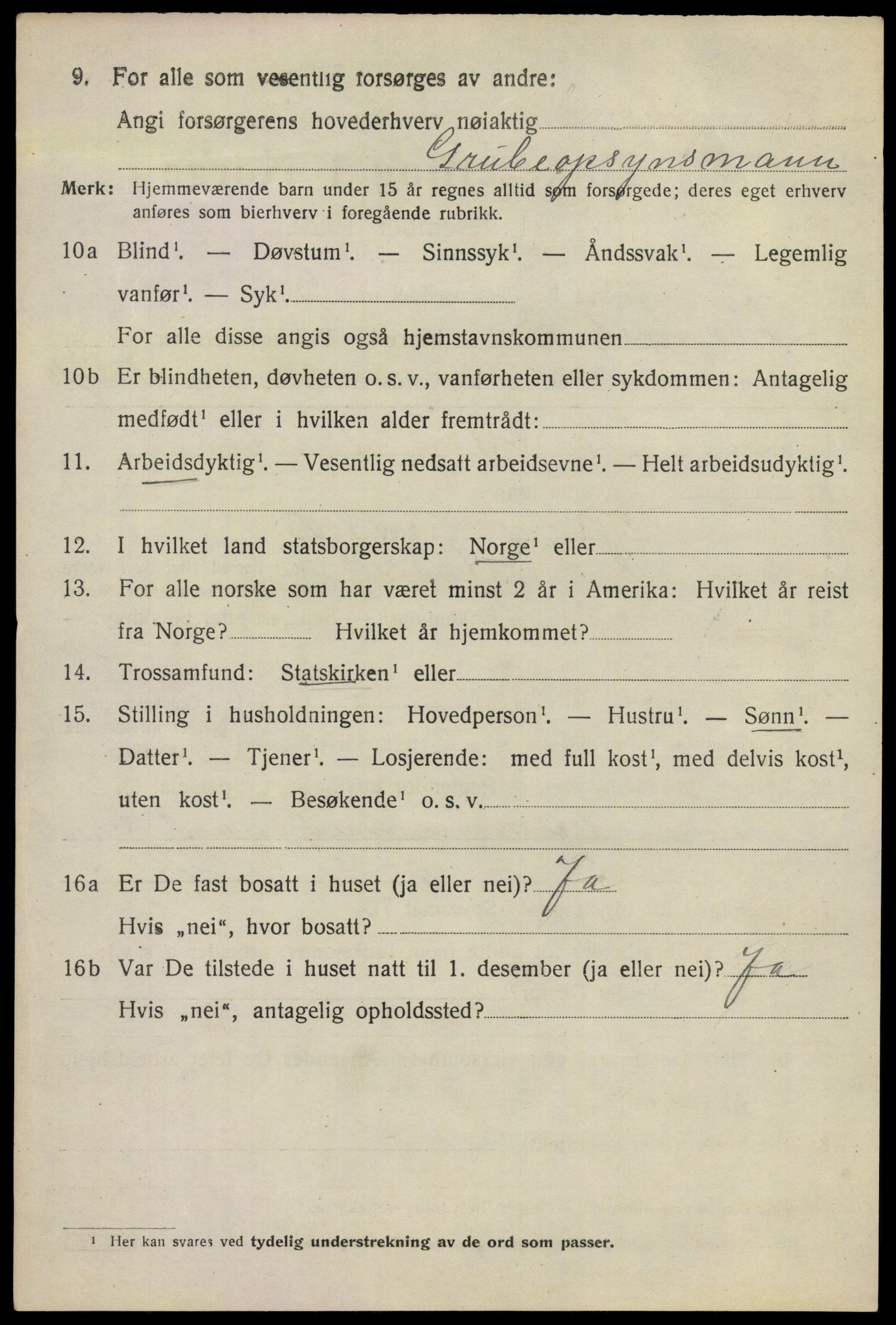 SAO, 1920 census for Nannestad, 1920, p. 5052