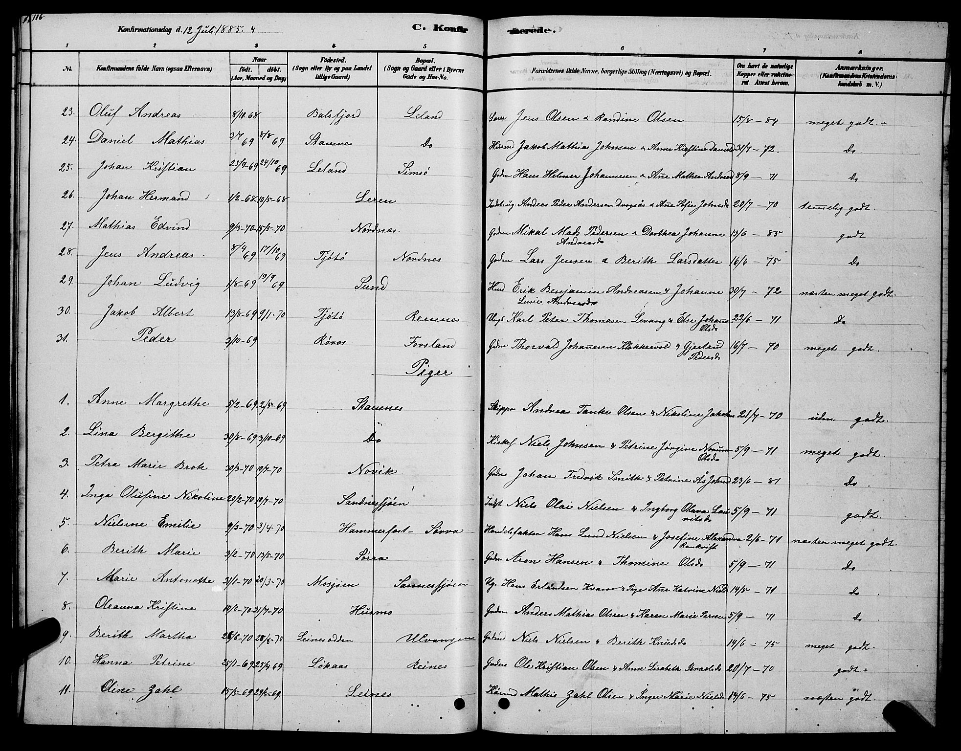 Ministerialprotokoller, klokkerbøker og fødselsregistre - Nordland, AV/SAT-A-1459/831/L0477: Parish register (copy) no. 831C04, 1878-1897, p. 116