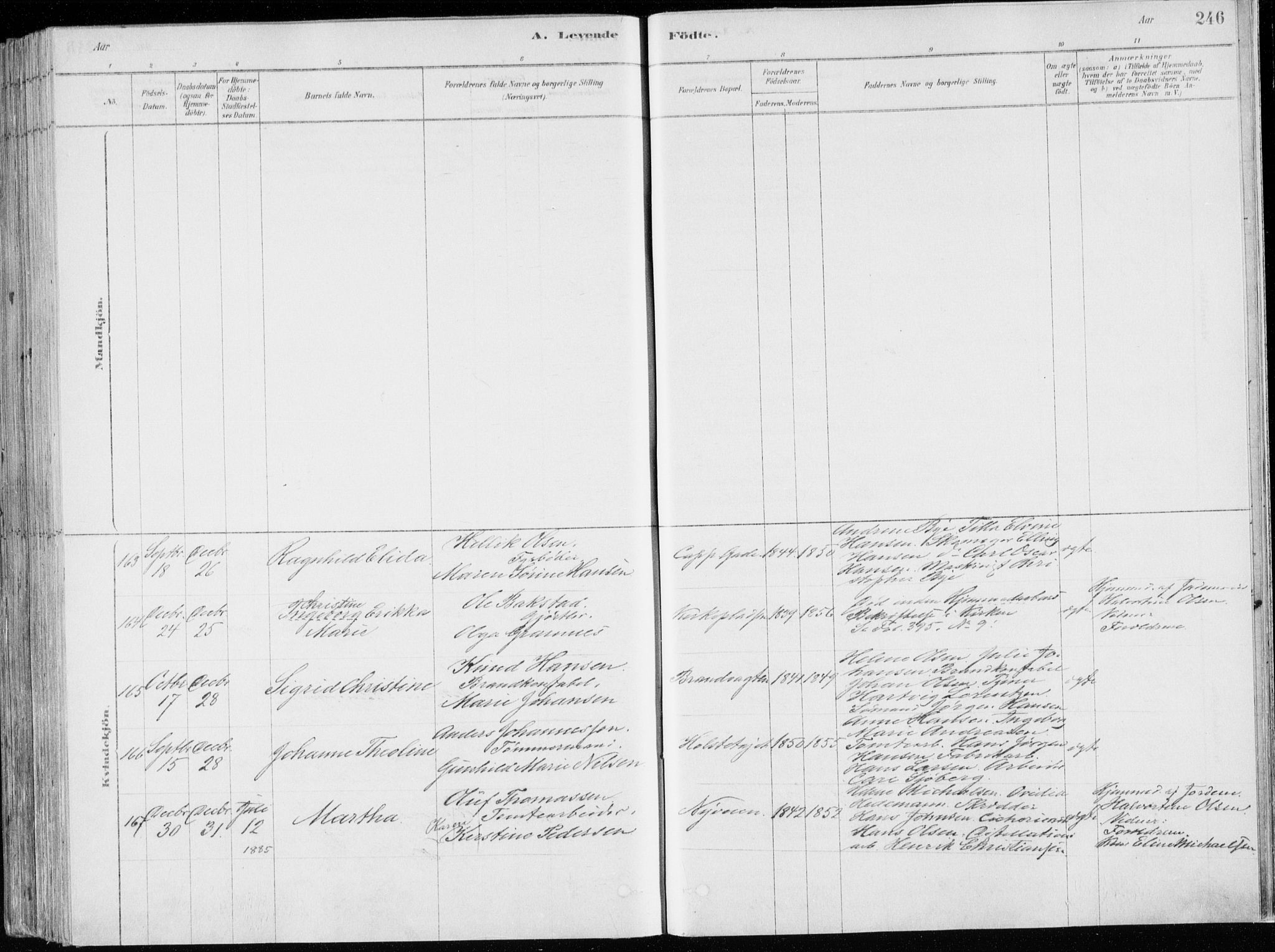 Bragernes kirkebøker, SAKO/A-6/F/Fb/L0006a: Parish register (official) no. II 6A, 1878-1885, p. 246