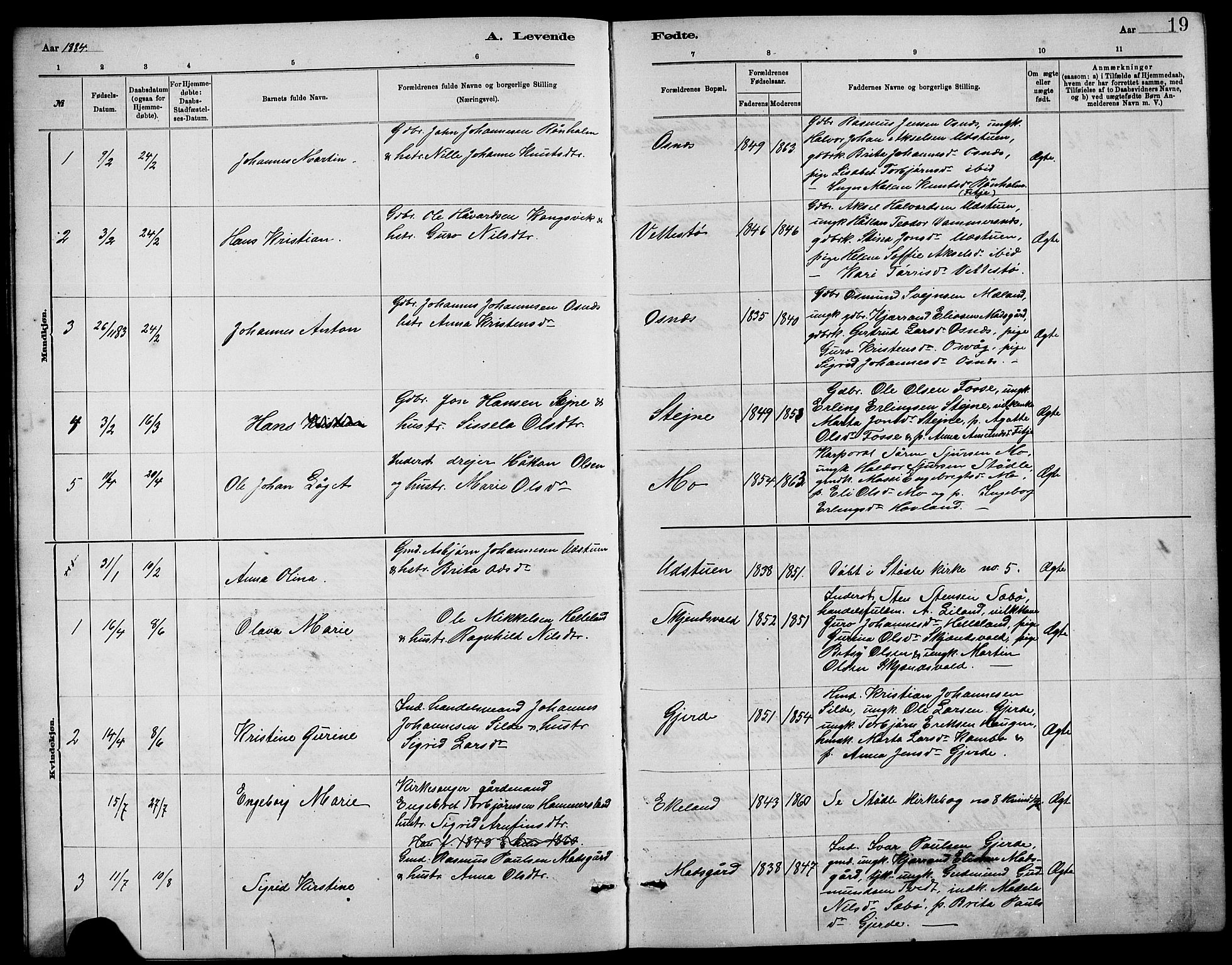 Etne sokneprestembete, SAB/A-75001/H/Hab: Parish register (copy) no. B 4, 1879-1897, p. 19