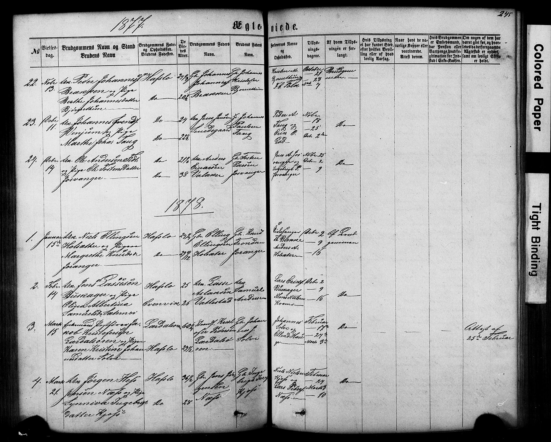 Hafslo sokneprestembete, SAB/A-80301/H/Hab/Haba/L0001: Parish register (copy) no. A 1, 1866-1908, p. 245