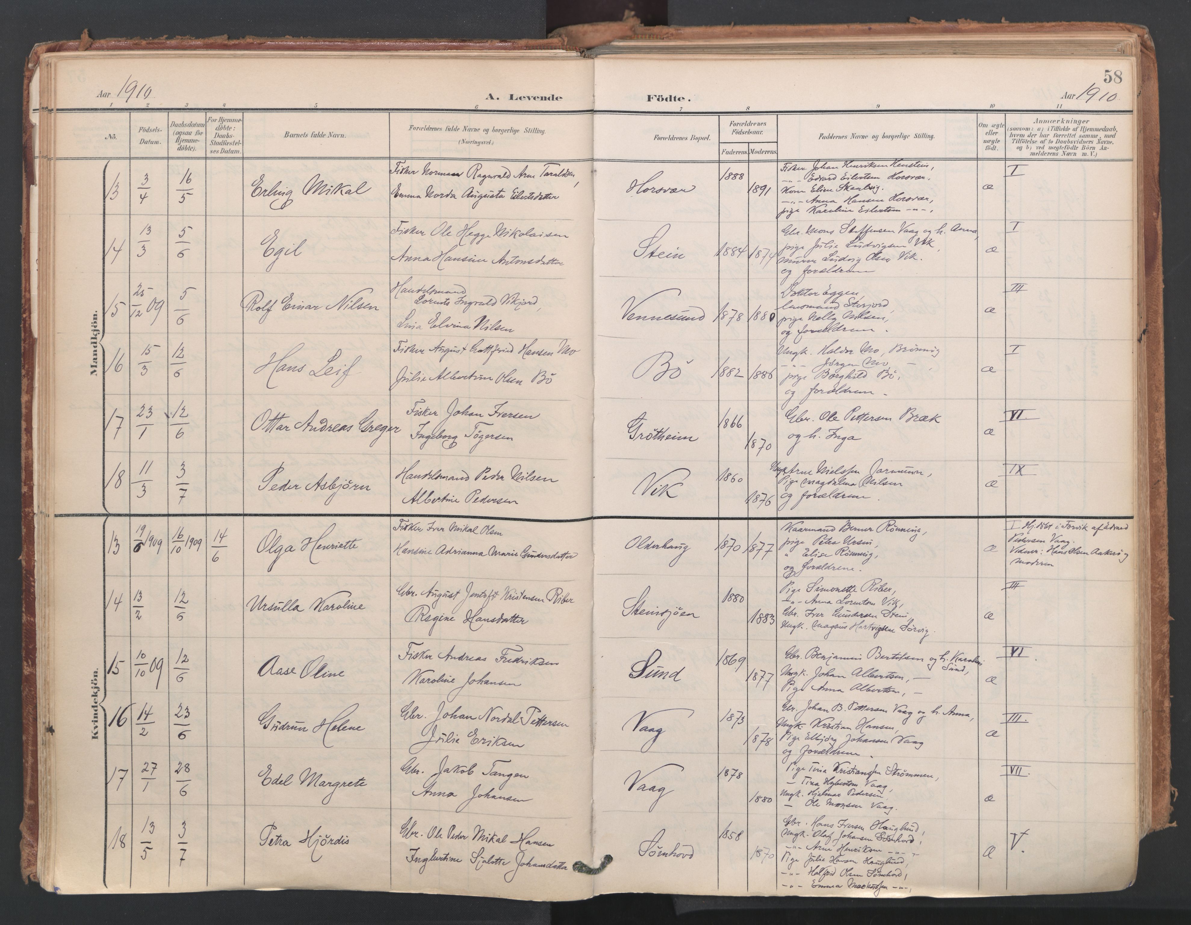 Ministerialprotokoller, klokkerbøker og fødselsregistre - Nordland, SAT/A-1459/812/L0180: Parish register (official) no. 812A09, 1901-1915, p. 58