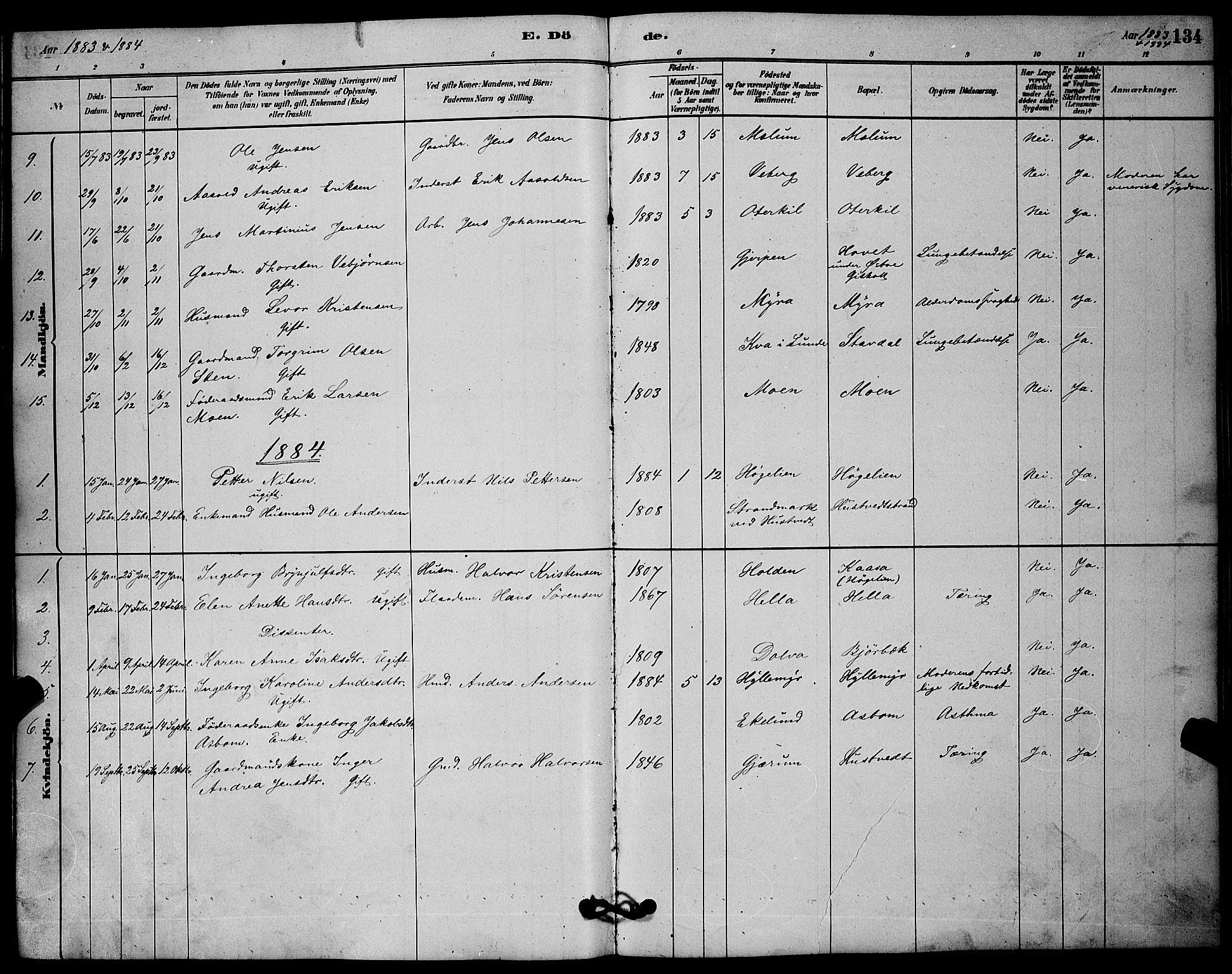 Solum kirkebøker, AV/SAKO-A-306/G/Gb/L0003: Parish register (copy) no. II 3, 1880-1898, p. 134