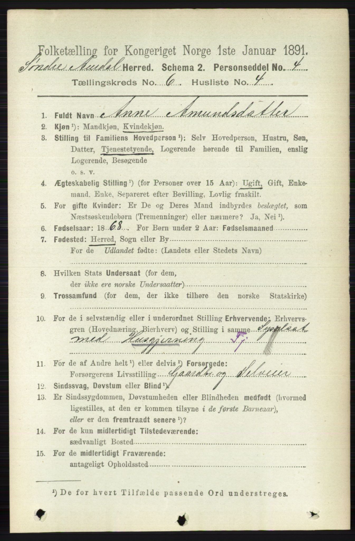 RA, 1891 census for 0540 Sør-Aurdal, 1891, p. 3822