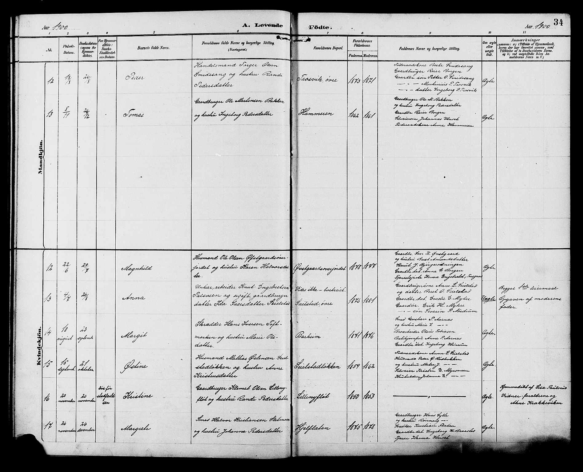 Ringebu prestekontor, SAH/PREST-082/H/Ha/Hab/L0007: Parish register (copy) no. 7, 1890-1910, p. 34