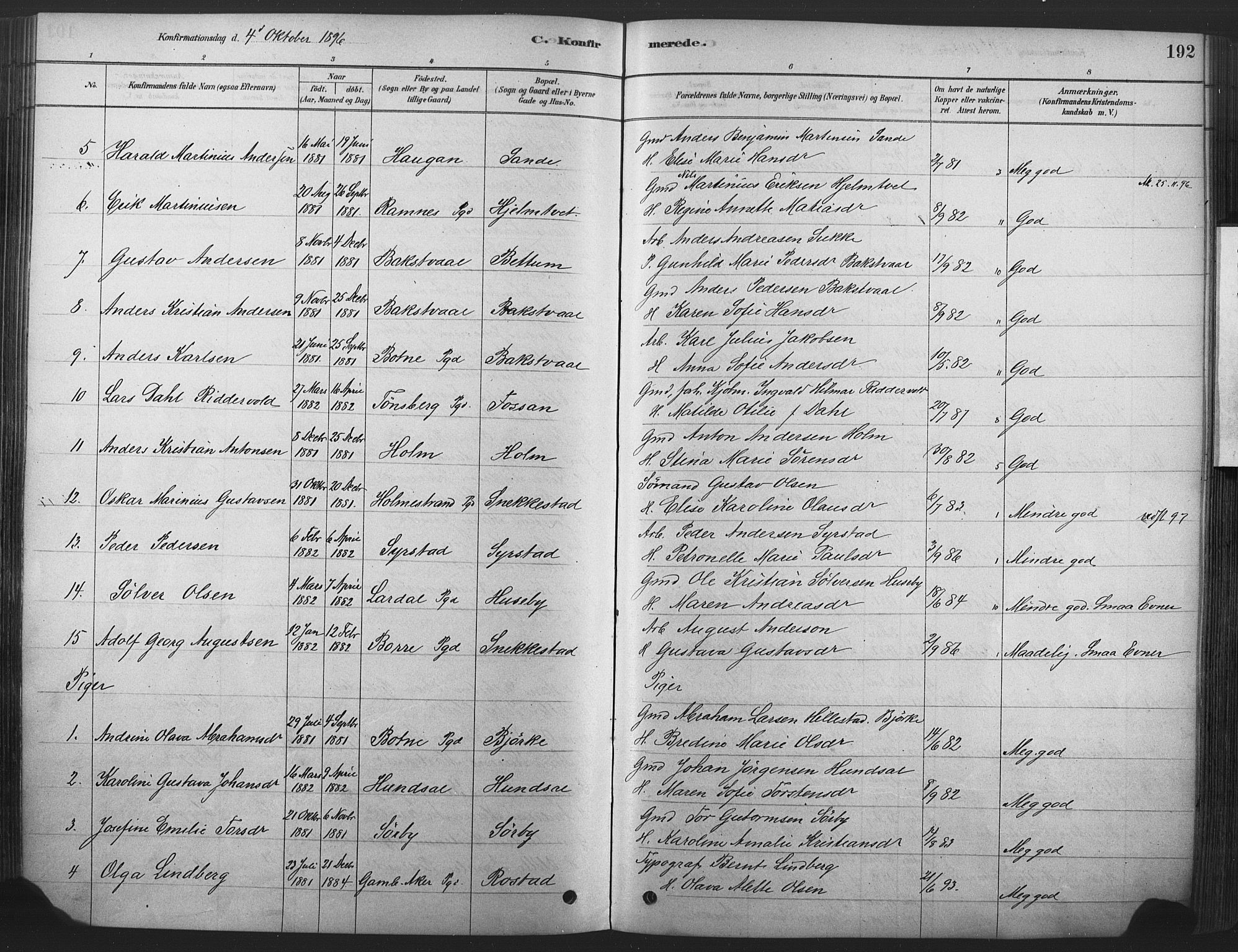 Våle kirkebøker, AV/SAKO-A-334/F/Fa/L0011: Parish register (official) no. I 11, 1878-1906, p. 192