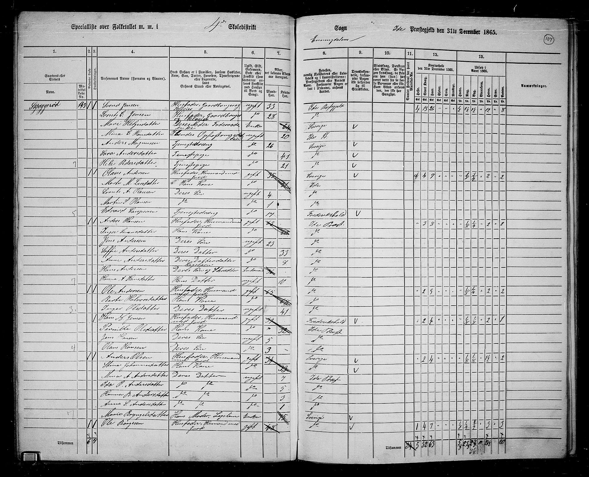 RA, 1865 census for Idd, 1865, p. 96