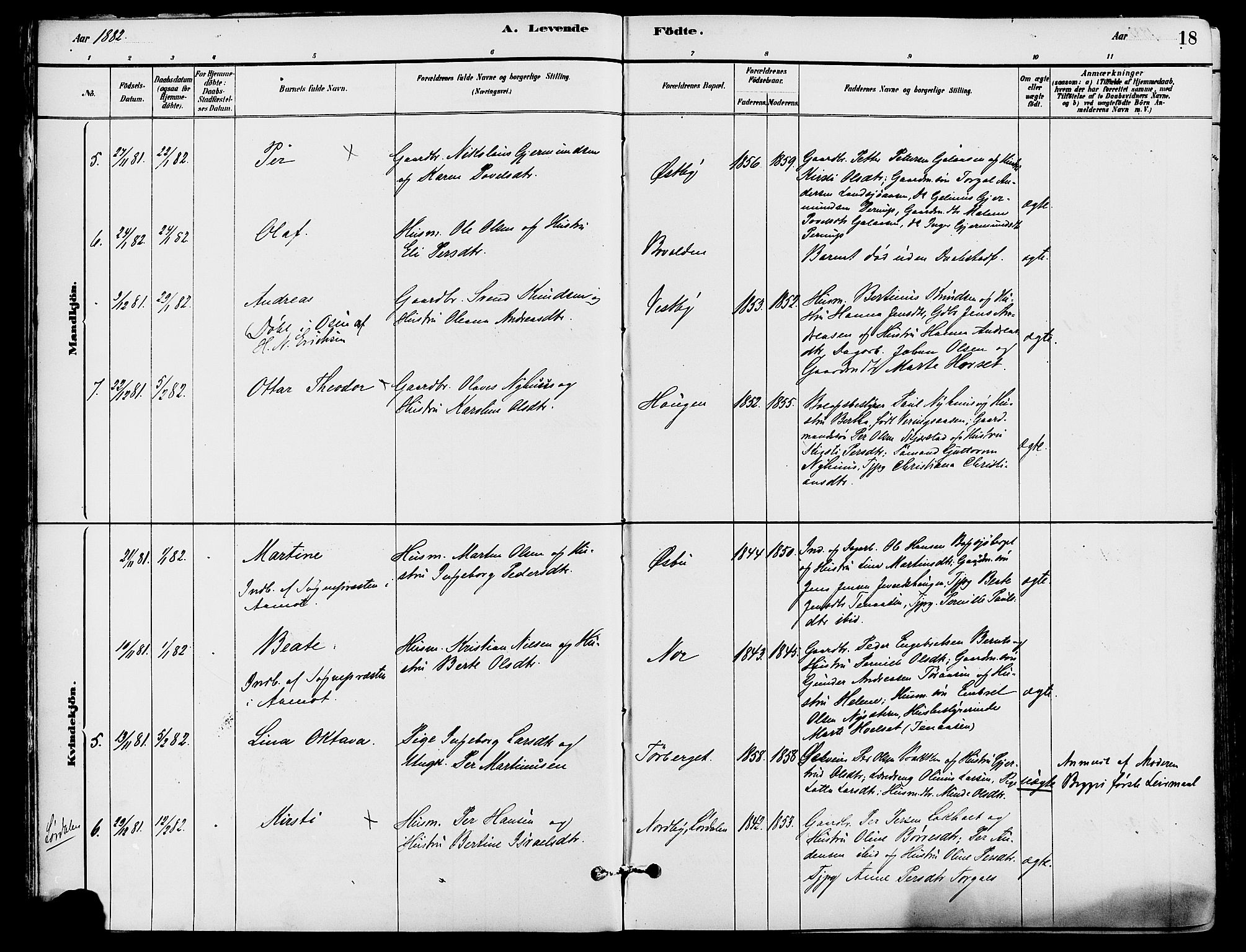 Trysil prestekontor, SAH/PREST-046/H/Ha/Haa/L0008: Parish register (official) no. 8, 1881-1897, p. 18